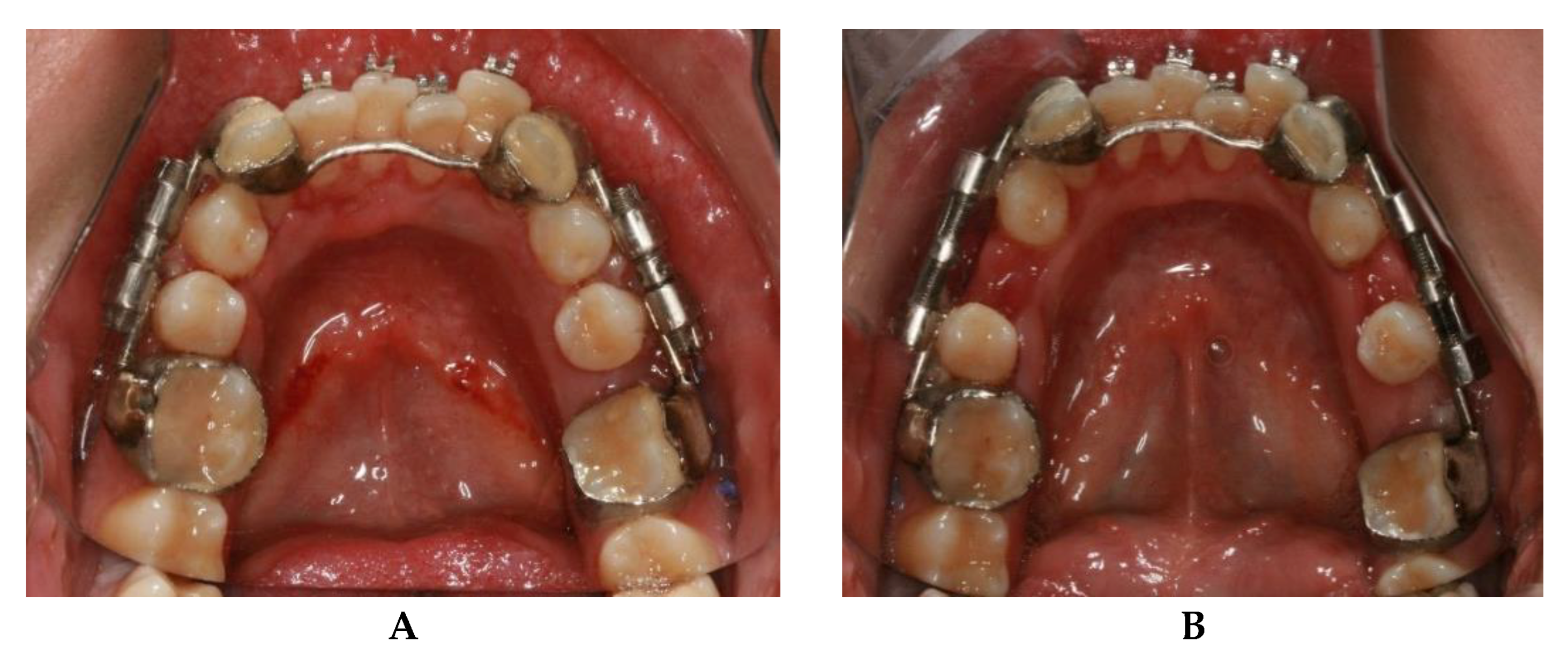 Bioengineering 08 00180 g004