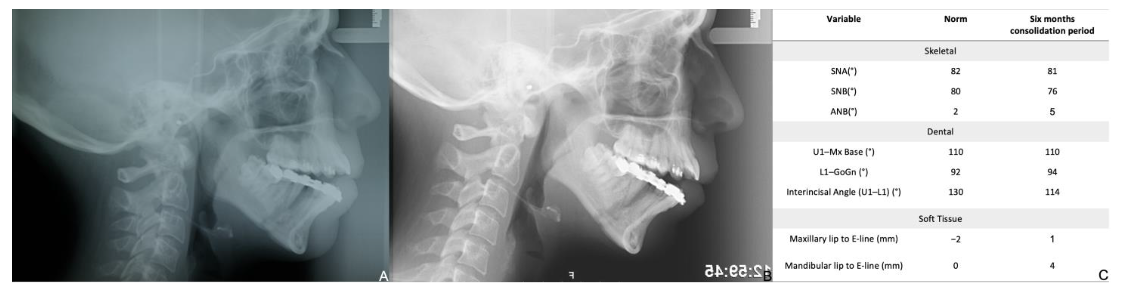 Bioengineering 08 00180 g006