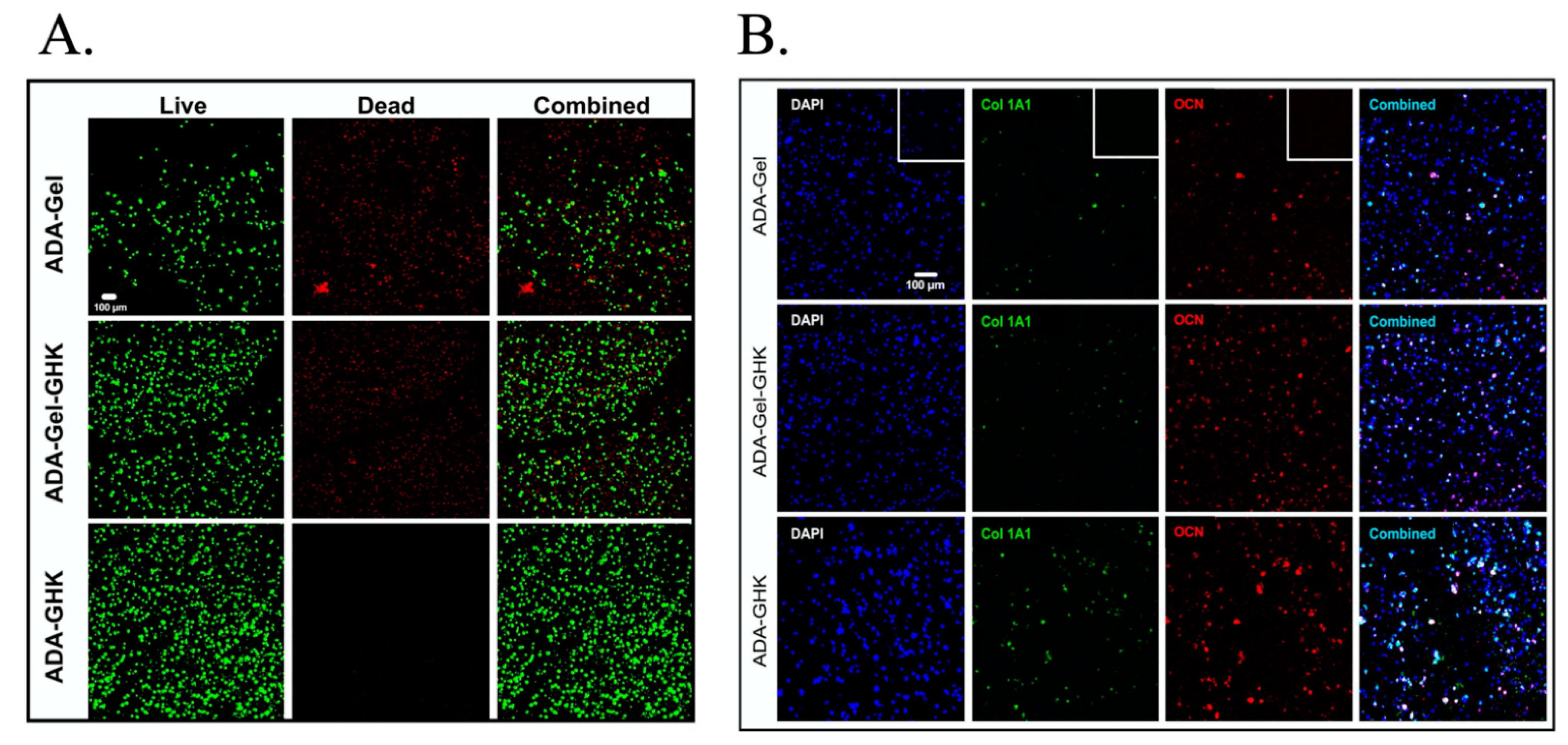 Bioengineering 08 00182 g001