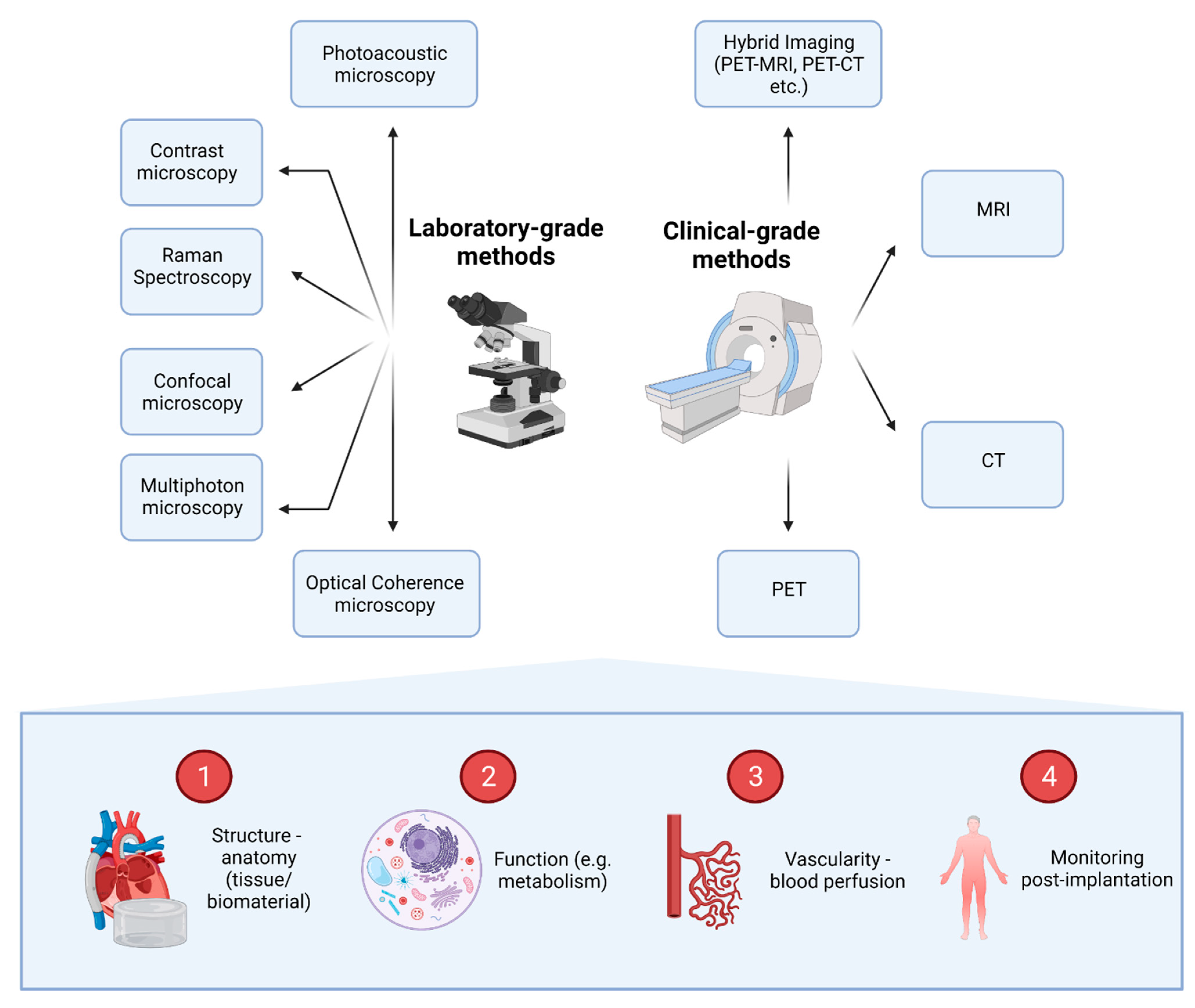 Bioengineering 08 00182 g003