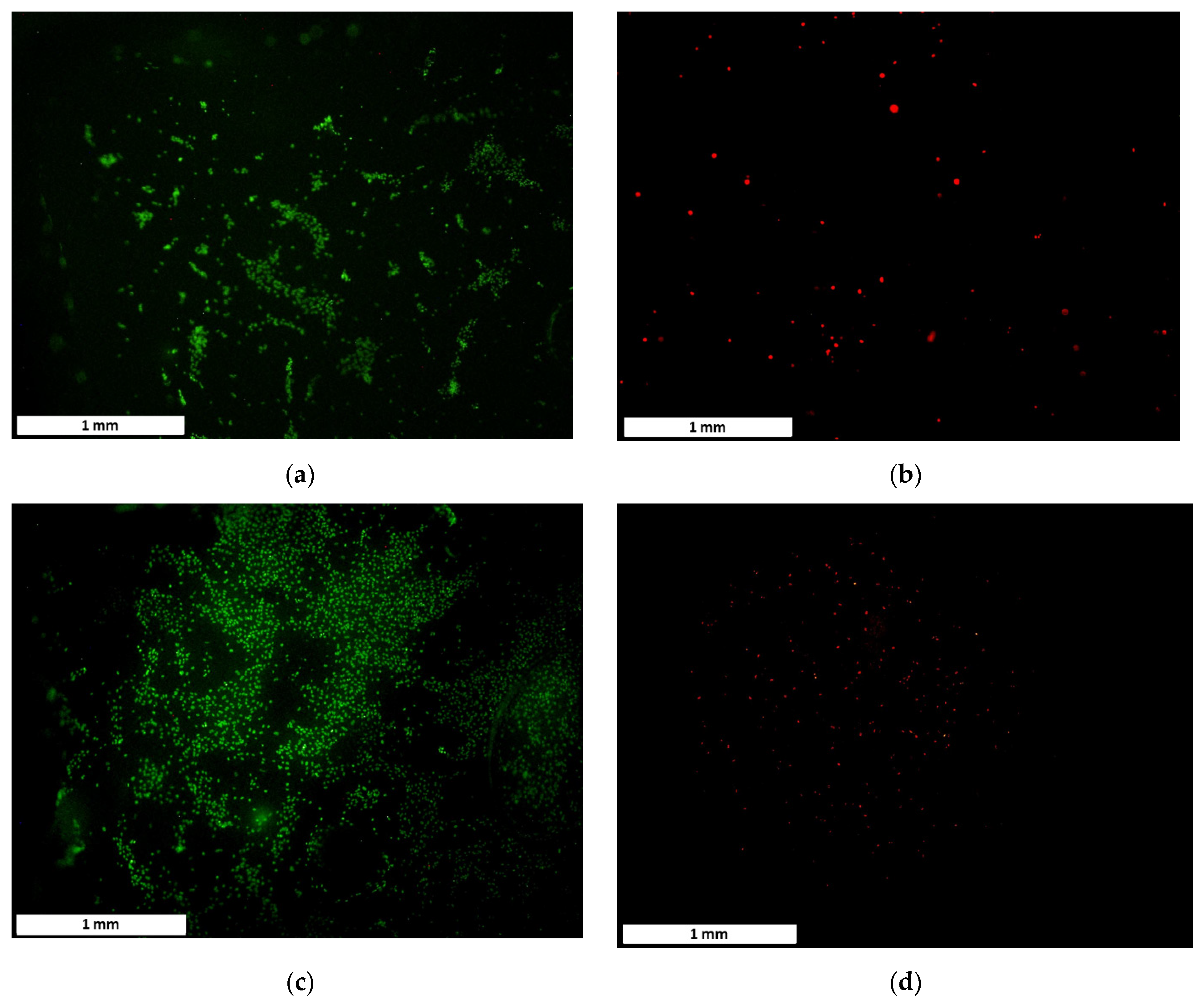 Bioengineering 08 00183 g005 550