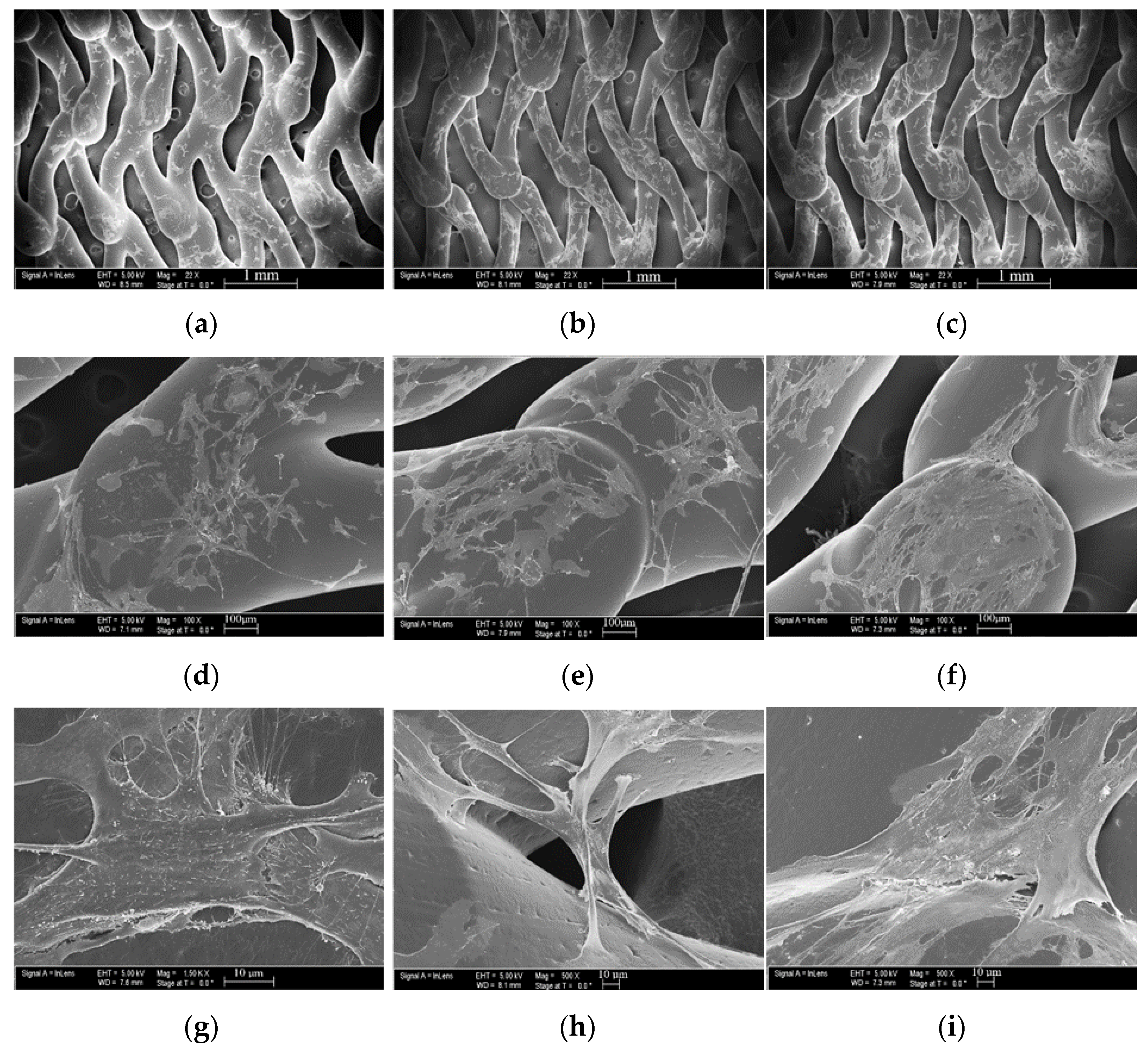Bioengineering 08 00183 g010 550