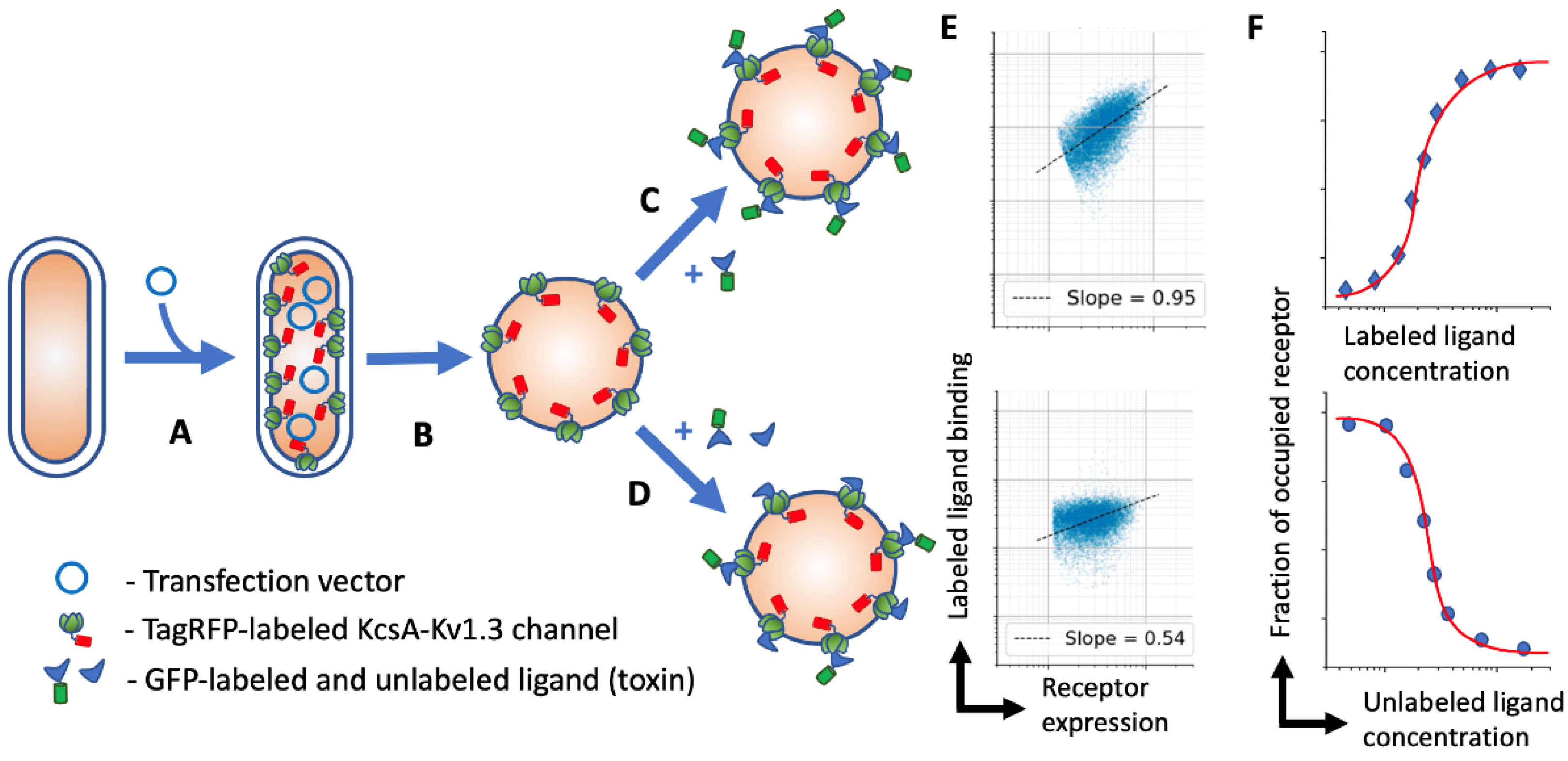Bioengineering 08 00187 g001 550