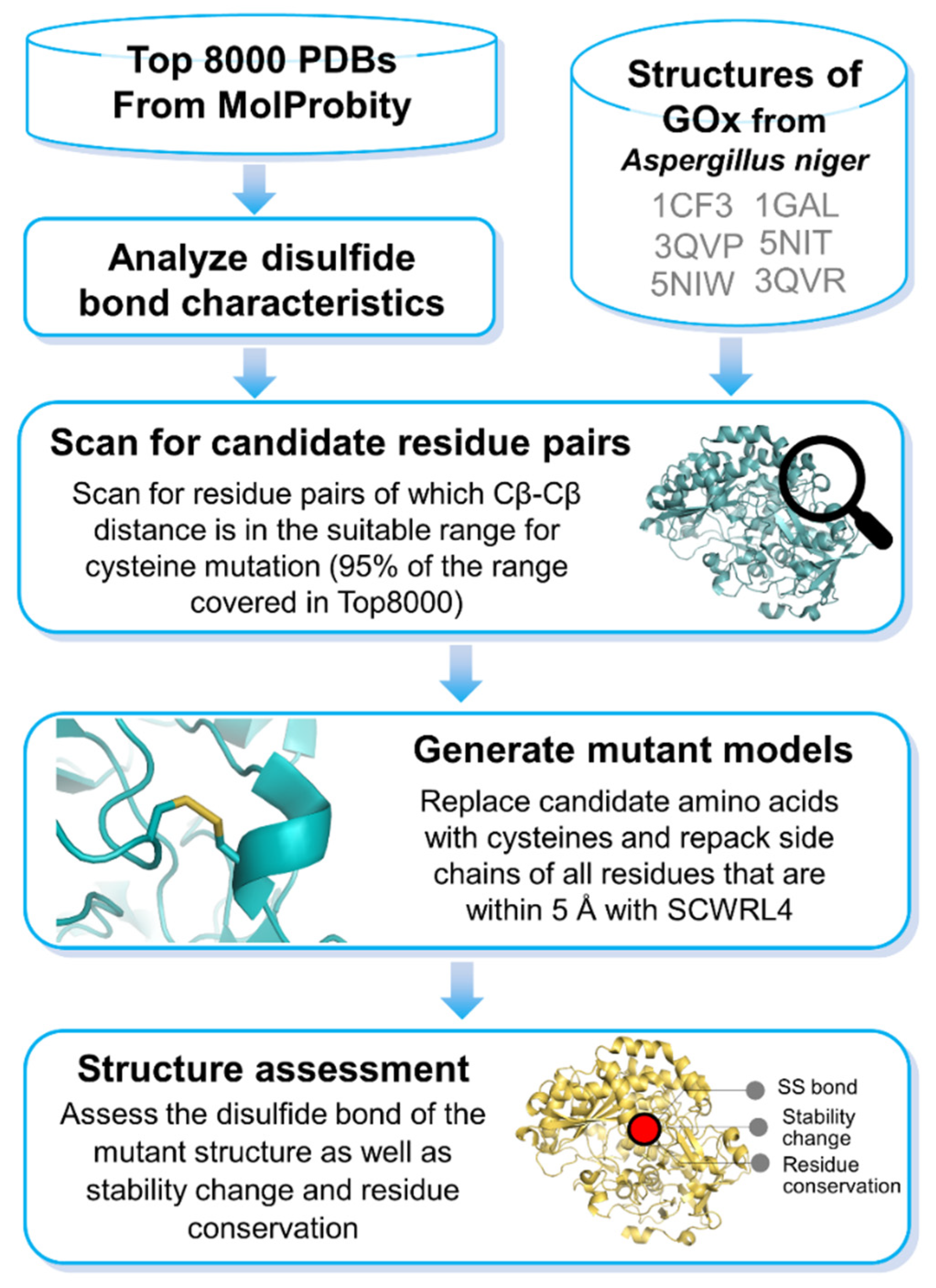 Bioengineering 08 00188 g001 550