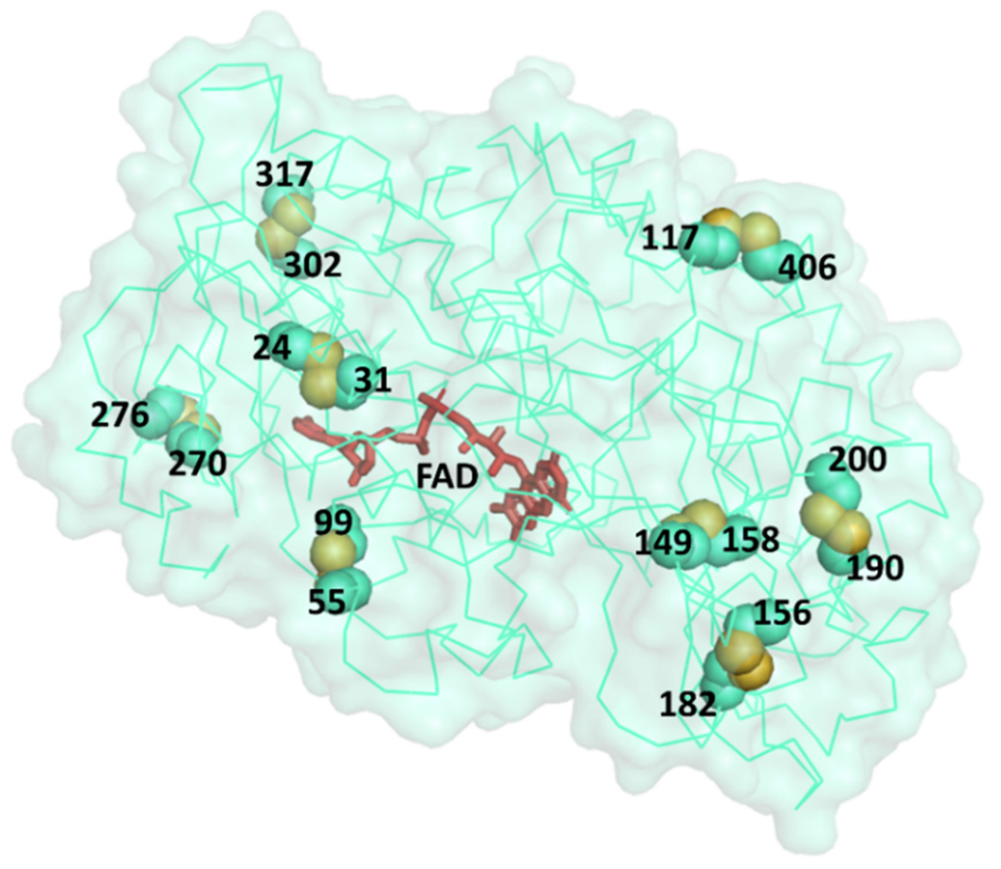 Bioengineering 08 00188 g002 550