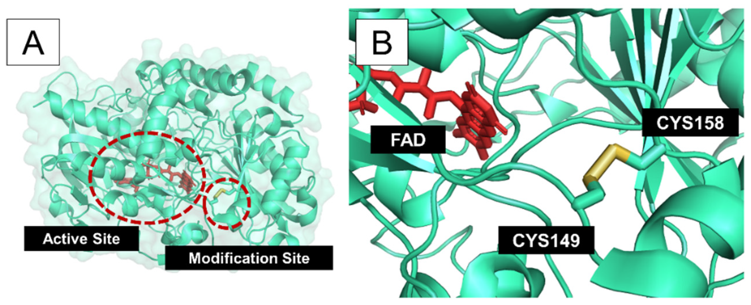 Bioengineering 08 00188 g003 550
