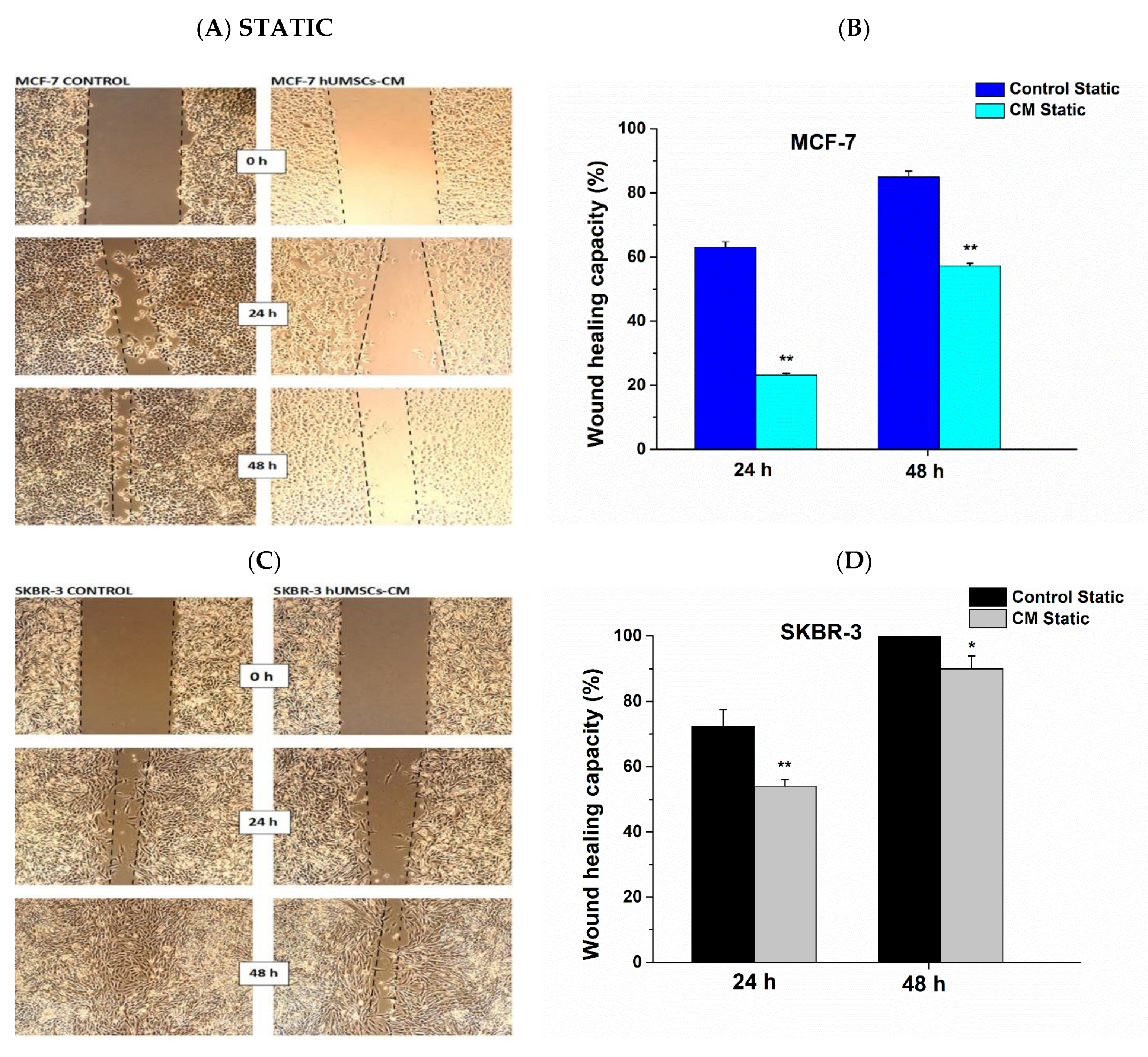 Bioengineering 08 00189 g004