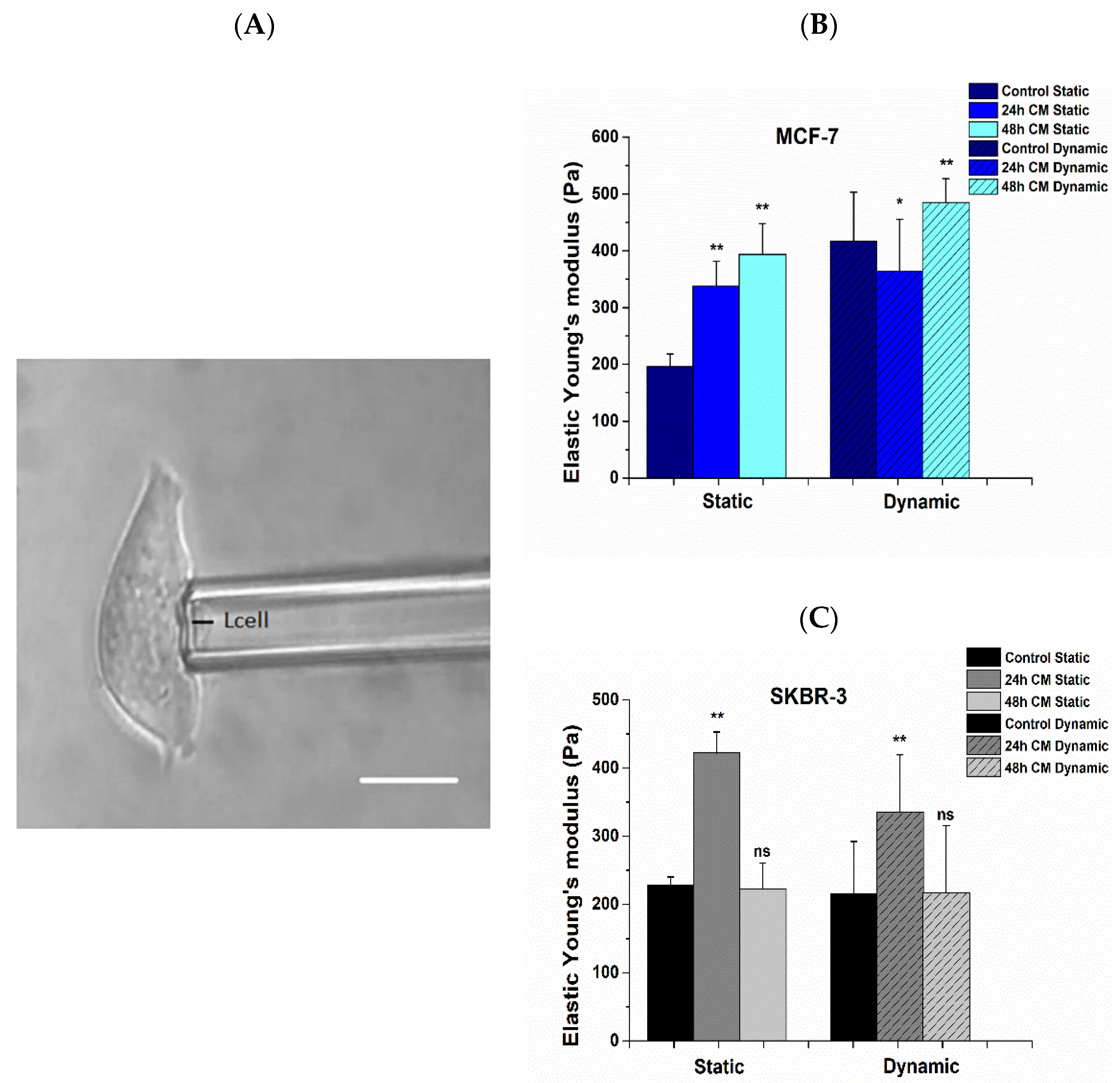 Bioengineering 08 00189 g006
