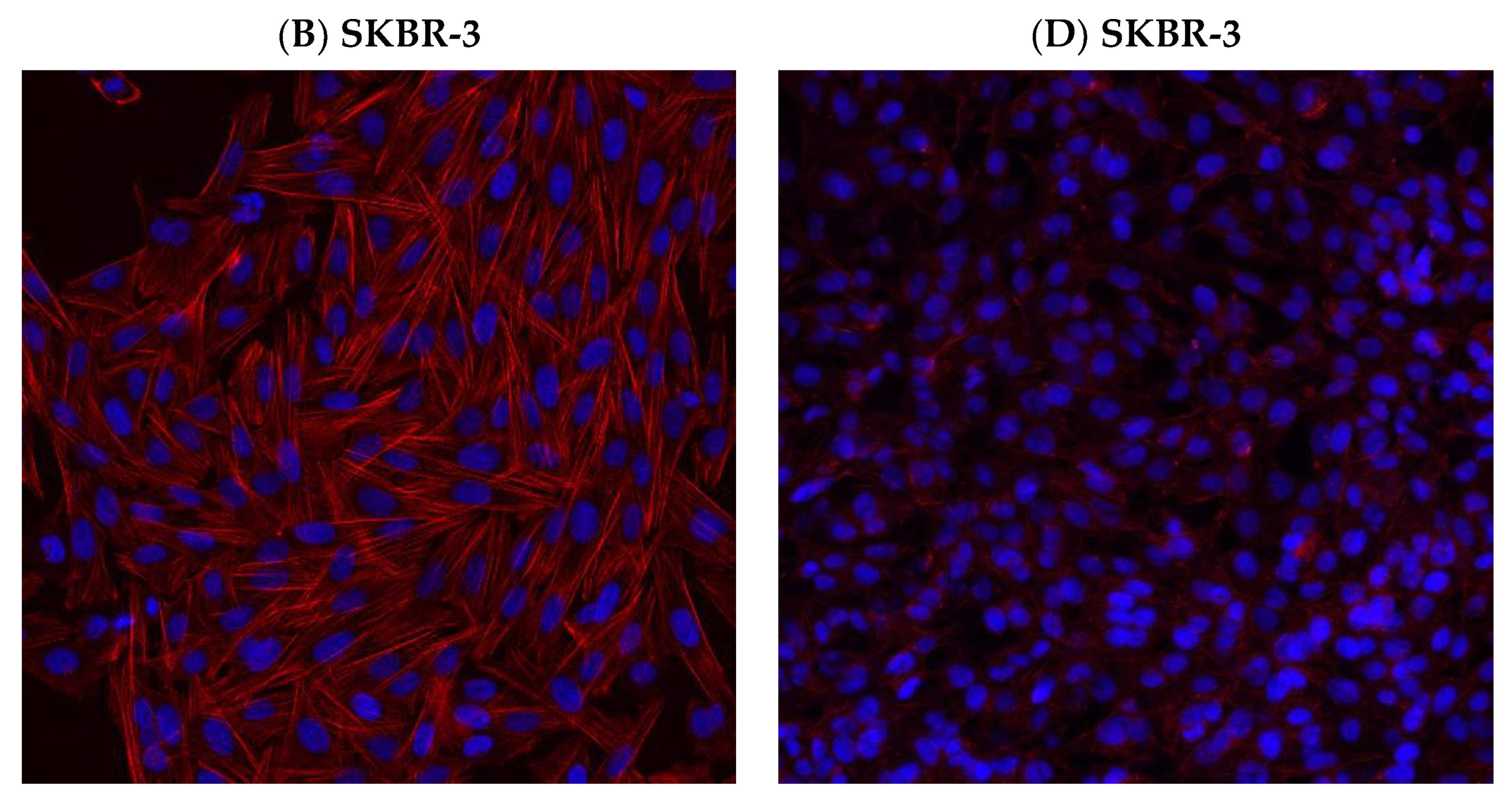 Bioengineering 08 00189 g008b