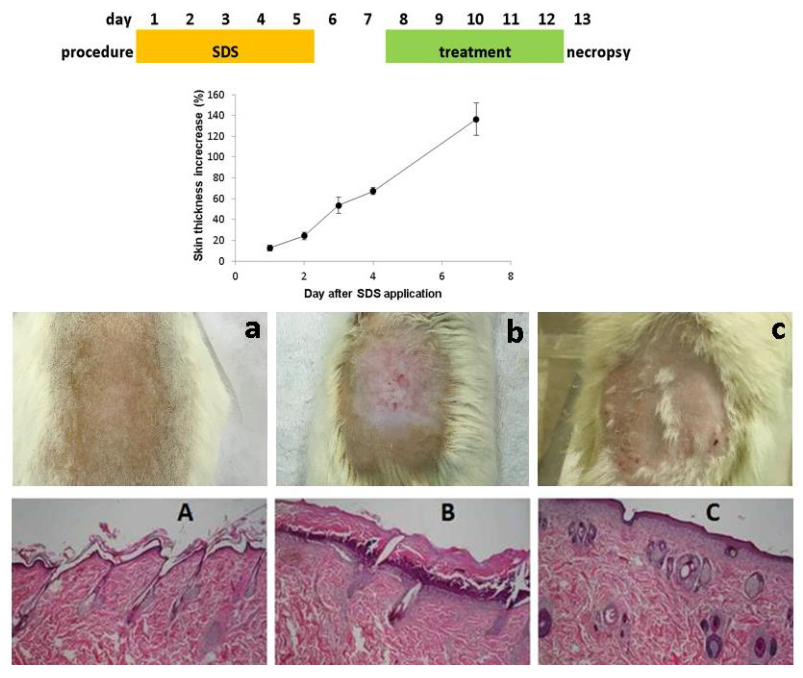 Bioengineering 08 00192 g006
