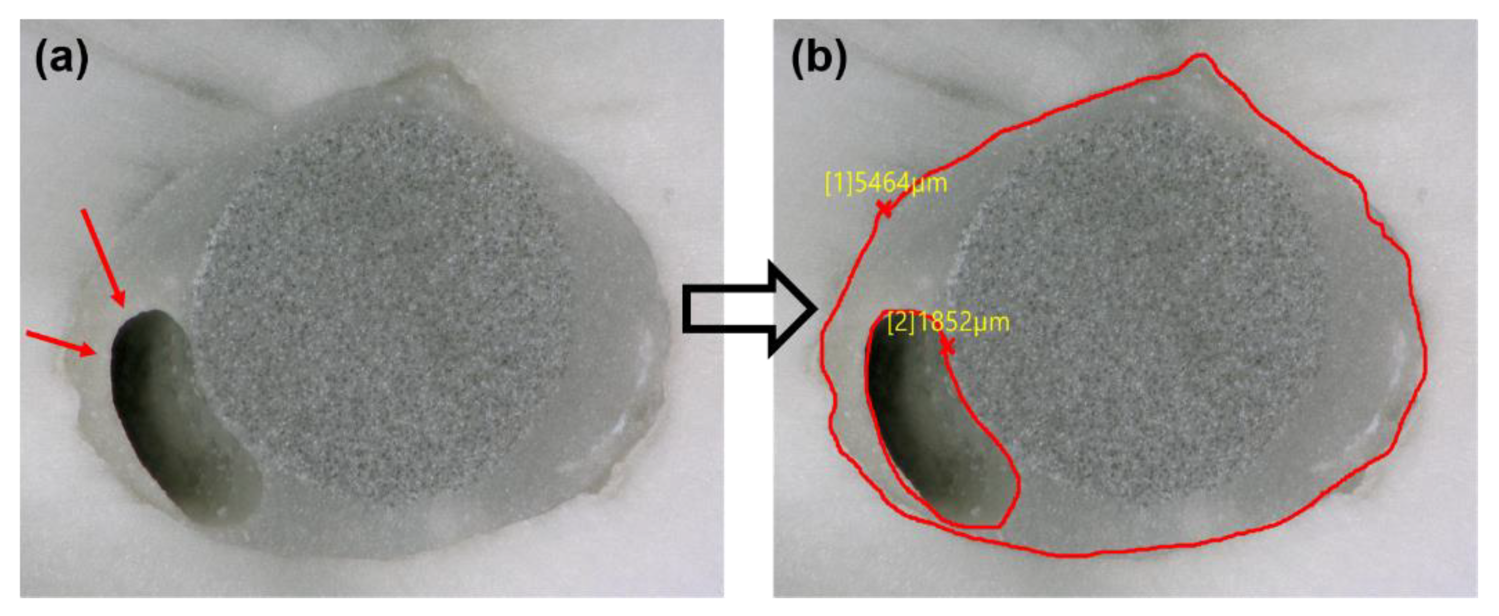 Bioengineering 08 00195 g001 550