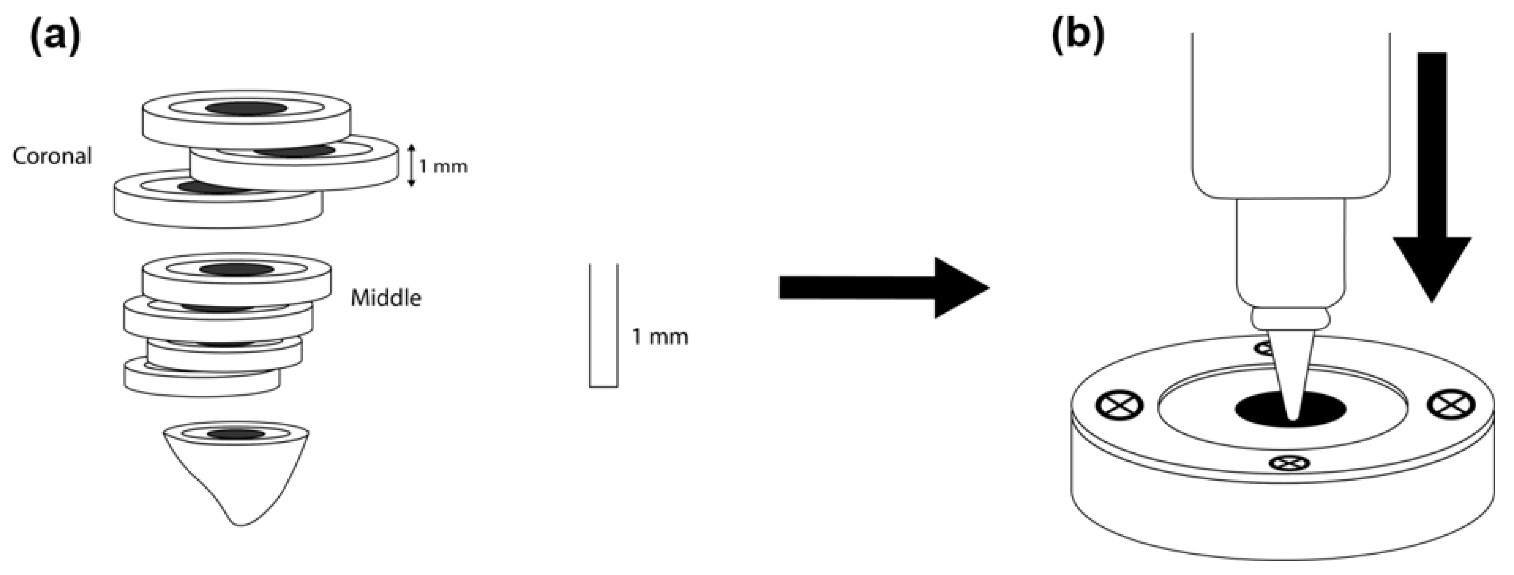 Bioengineering 08 00195 g002 550
