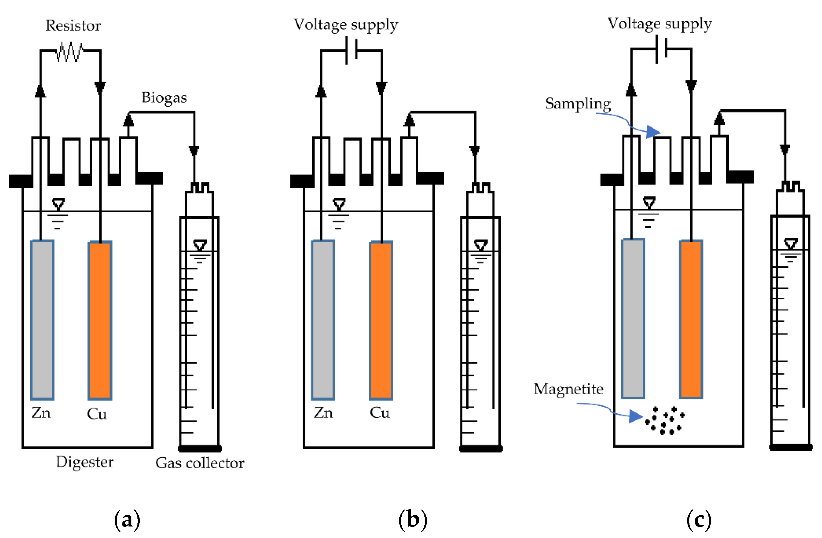 Bioengineering 08 00198 g001