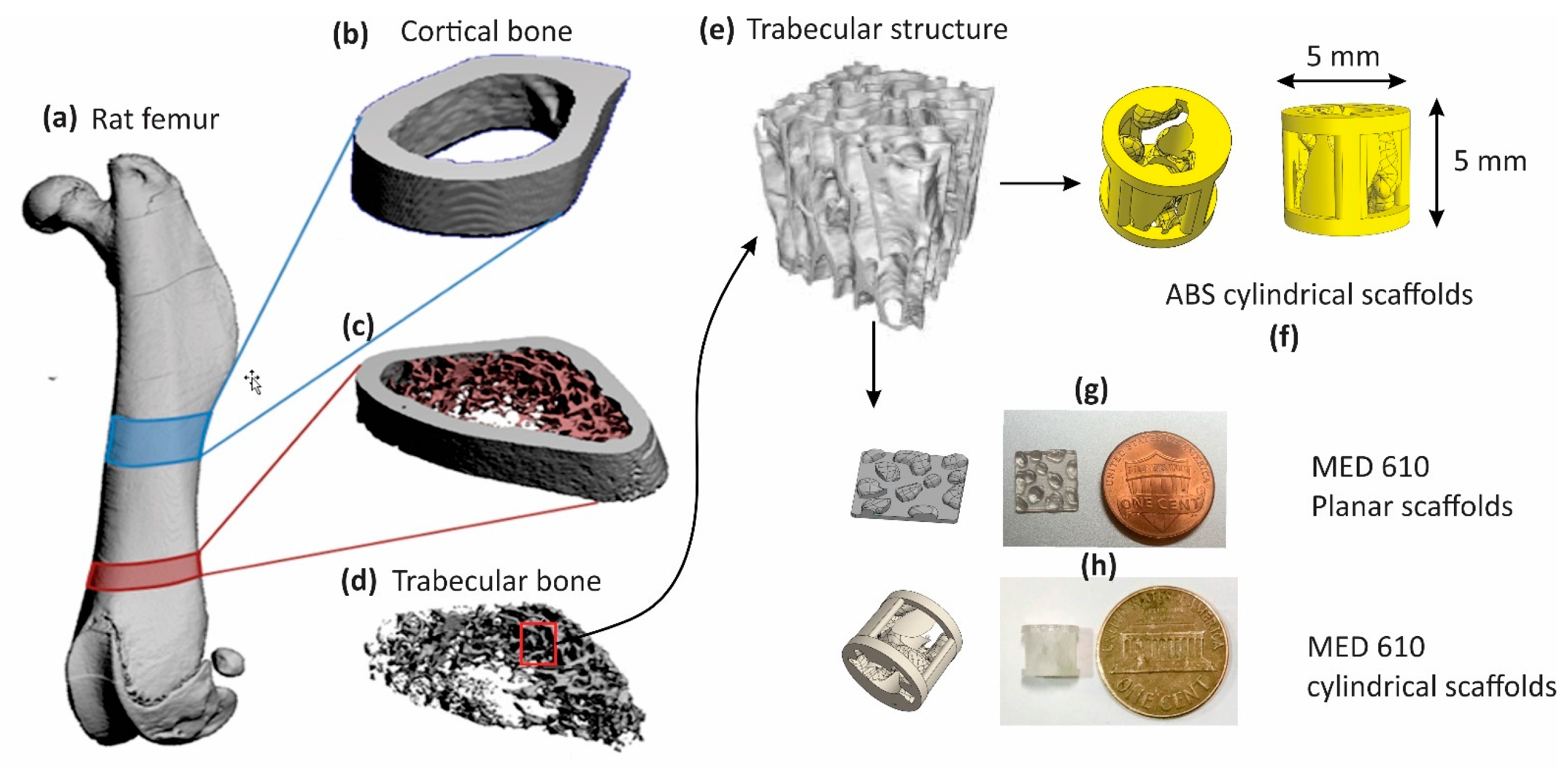 Bioengineering 08 00199 g001 Bioengineering 08 00199 g001