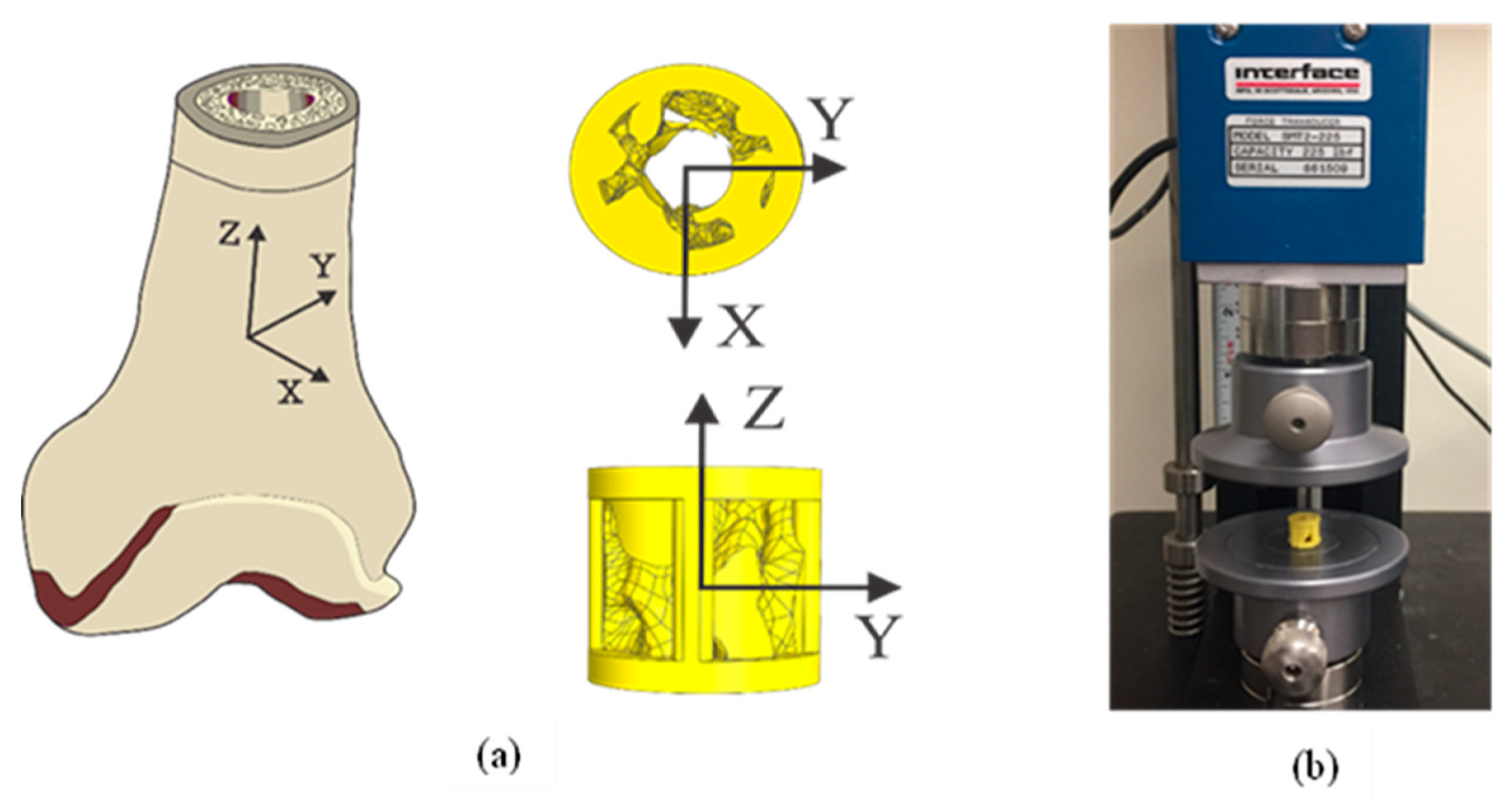 Bioengineering 08 00199 g002 Bioengineering 08 00199 g002