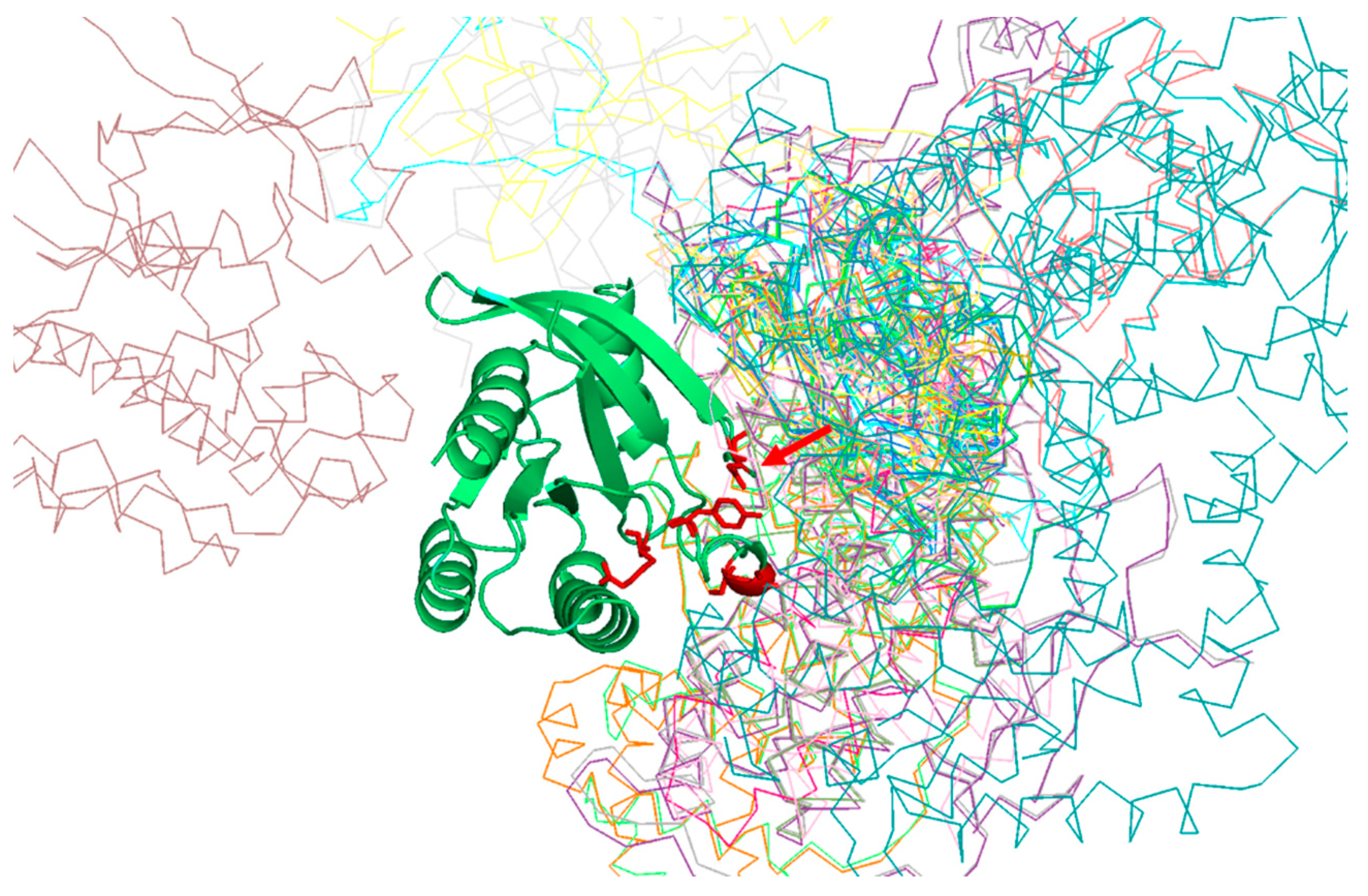 Bioengineering 08 00201 g002 550