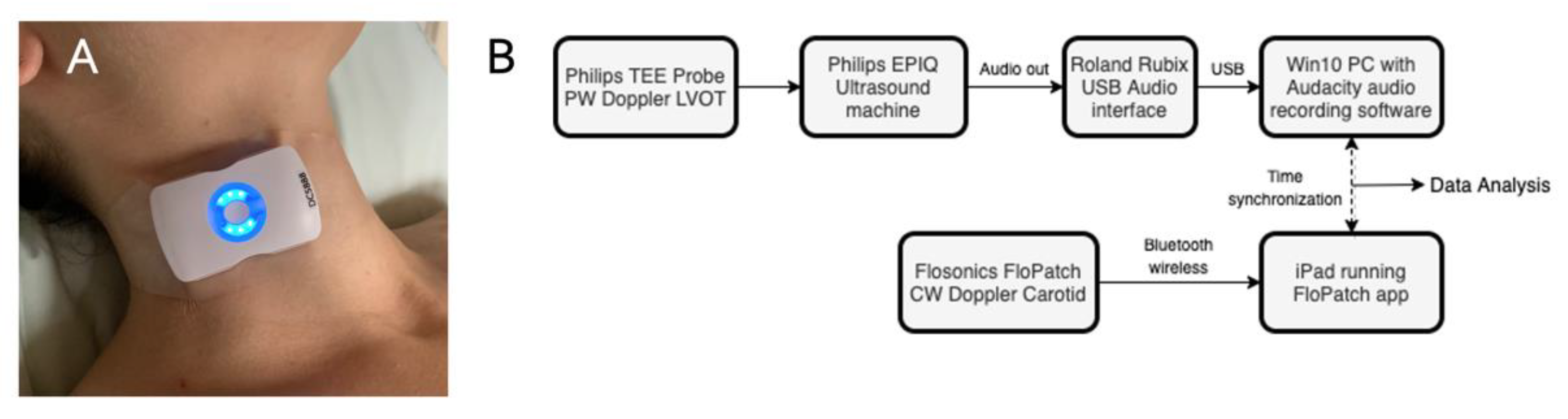 Bioengineering 08 00203 g001 Bioengineering 08 00203 g001