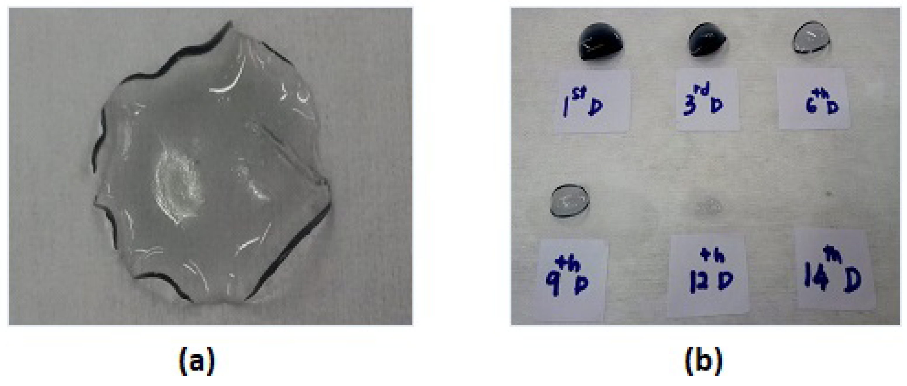 Bioengineering 08 00204 g011