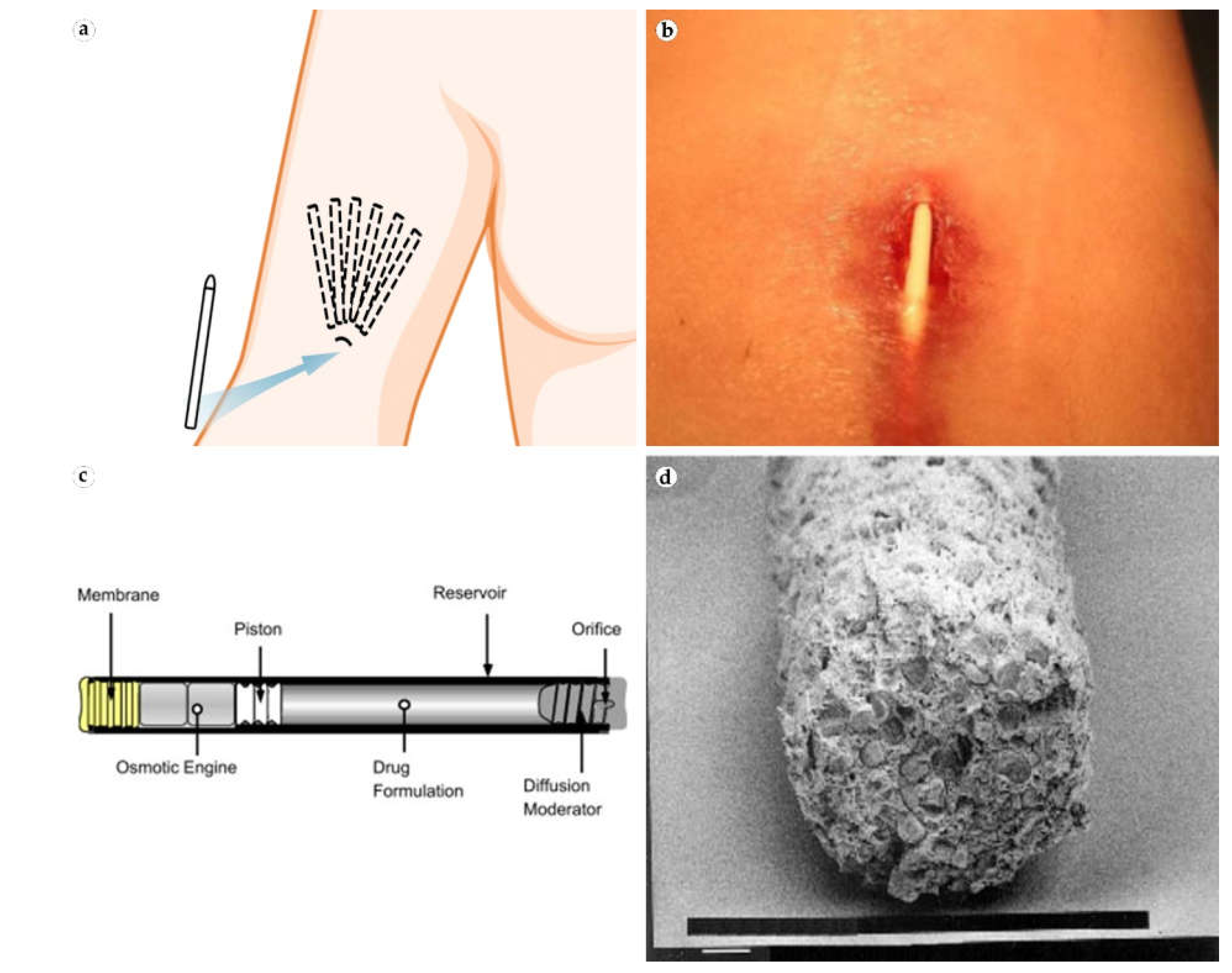 Bioengineering 08 00205 g003