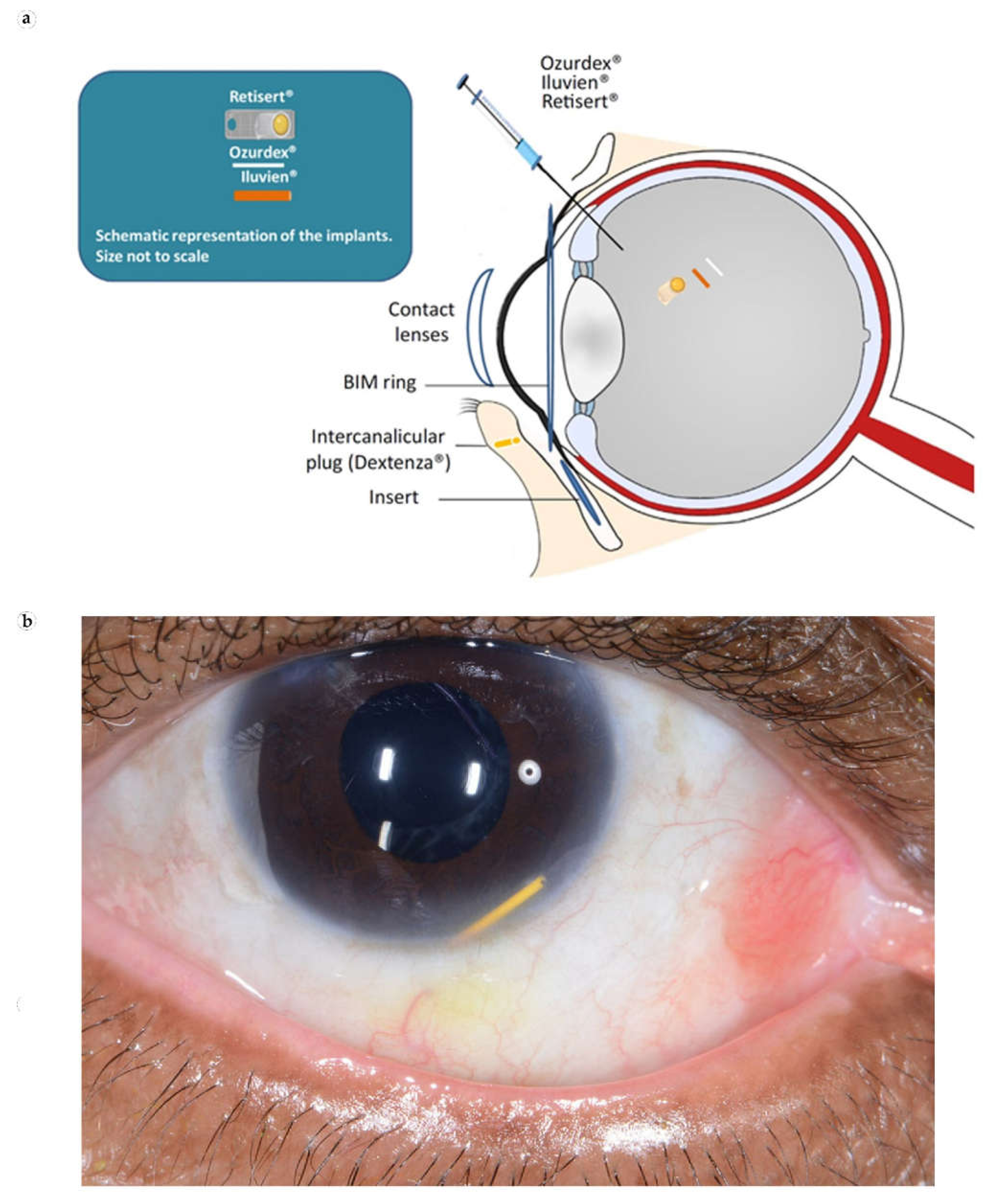 Bioengineering 08 00205 g005