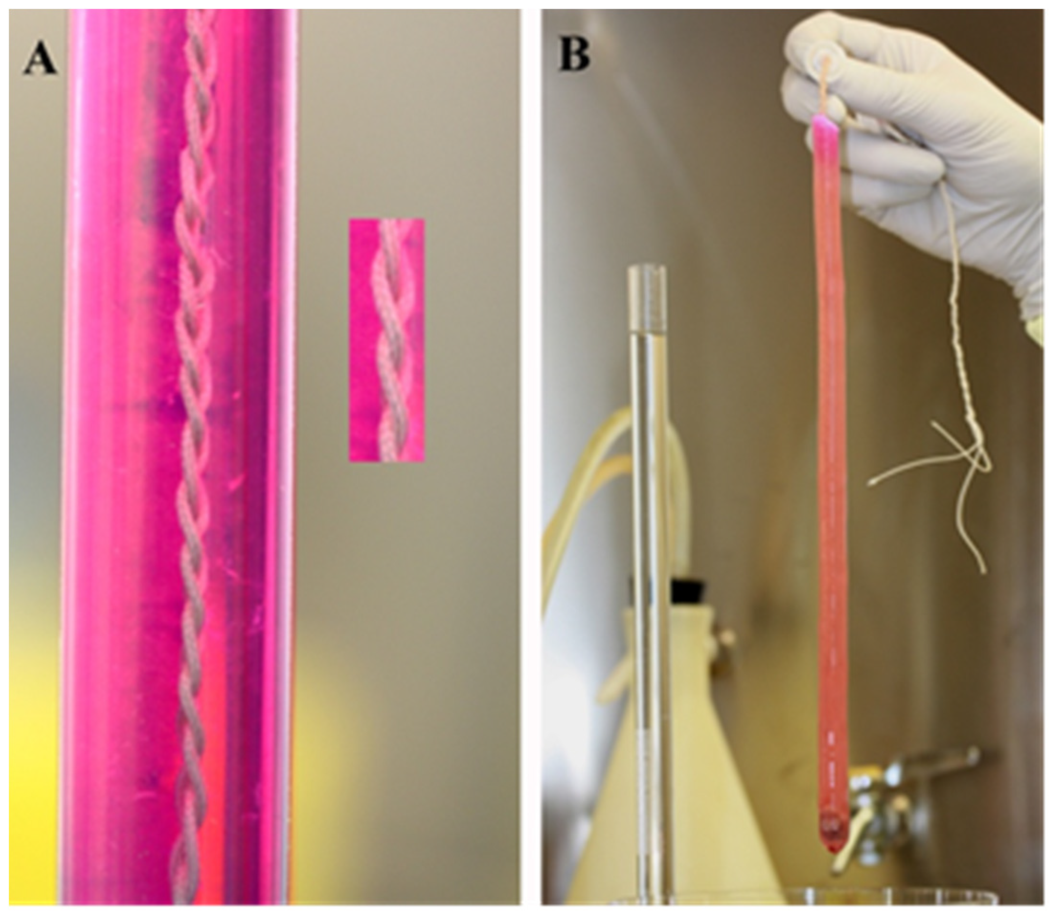 Bioengineering 08 00206 g005 550