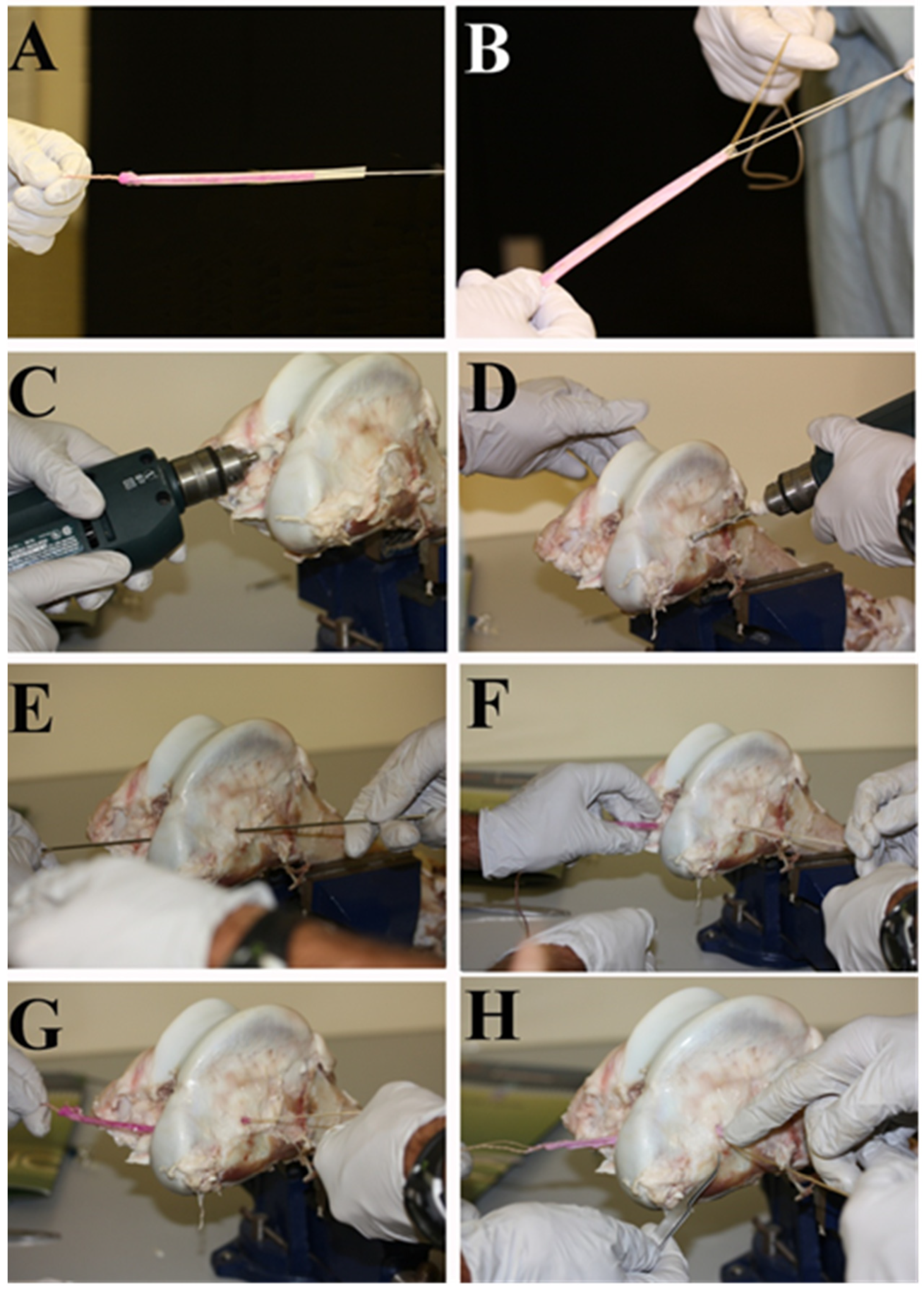 Bioengineering 08 00206 g007 550