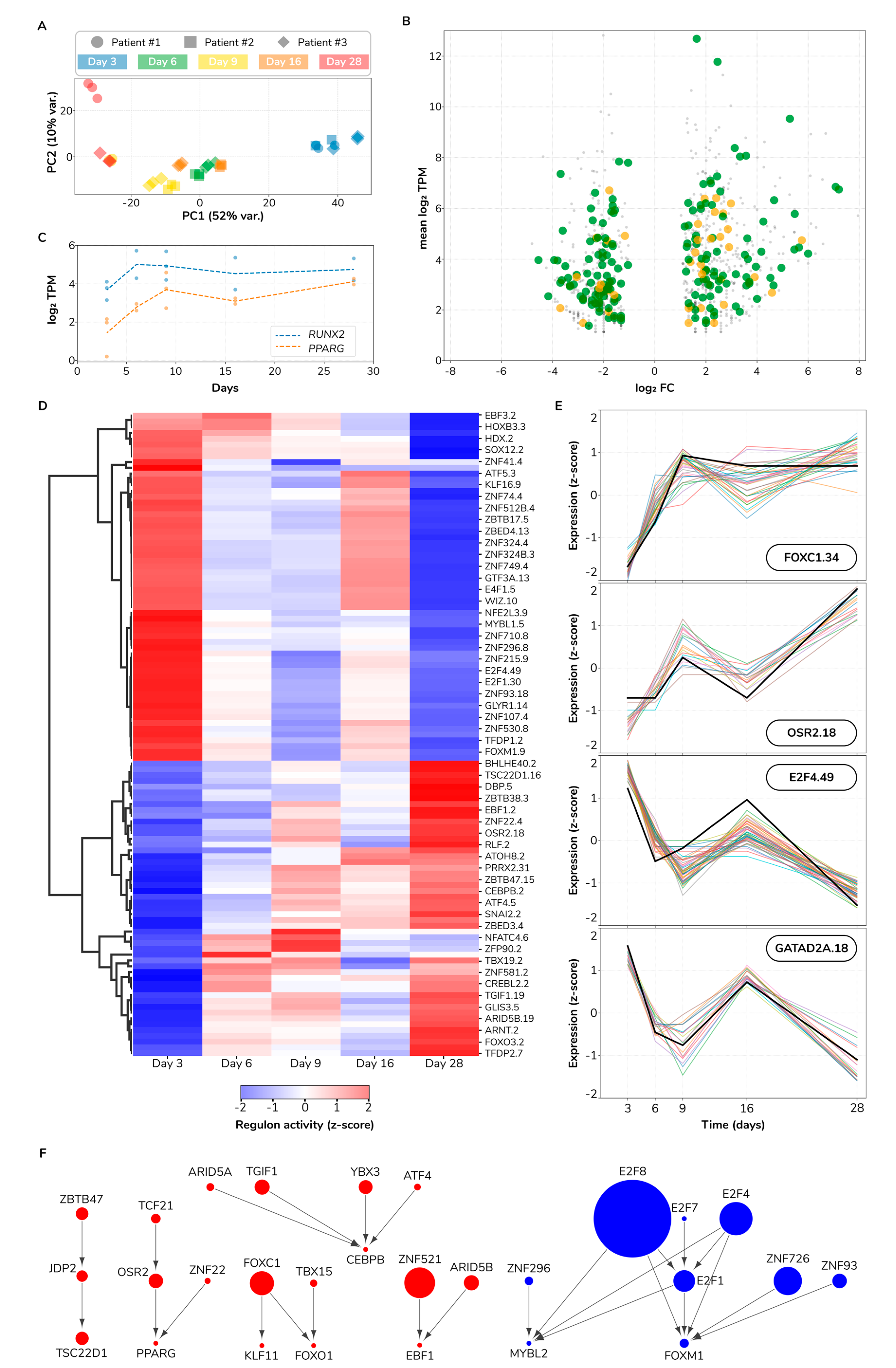 Bioengineering 08 00208 g008 Bioengineering 08 00208 g008