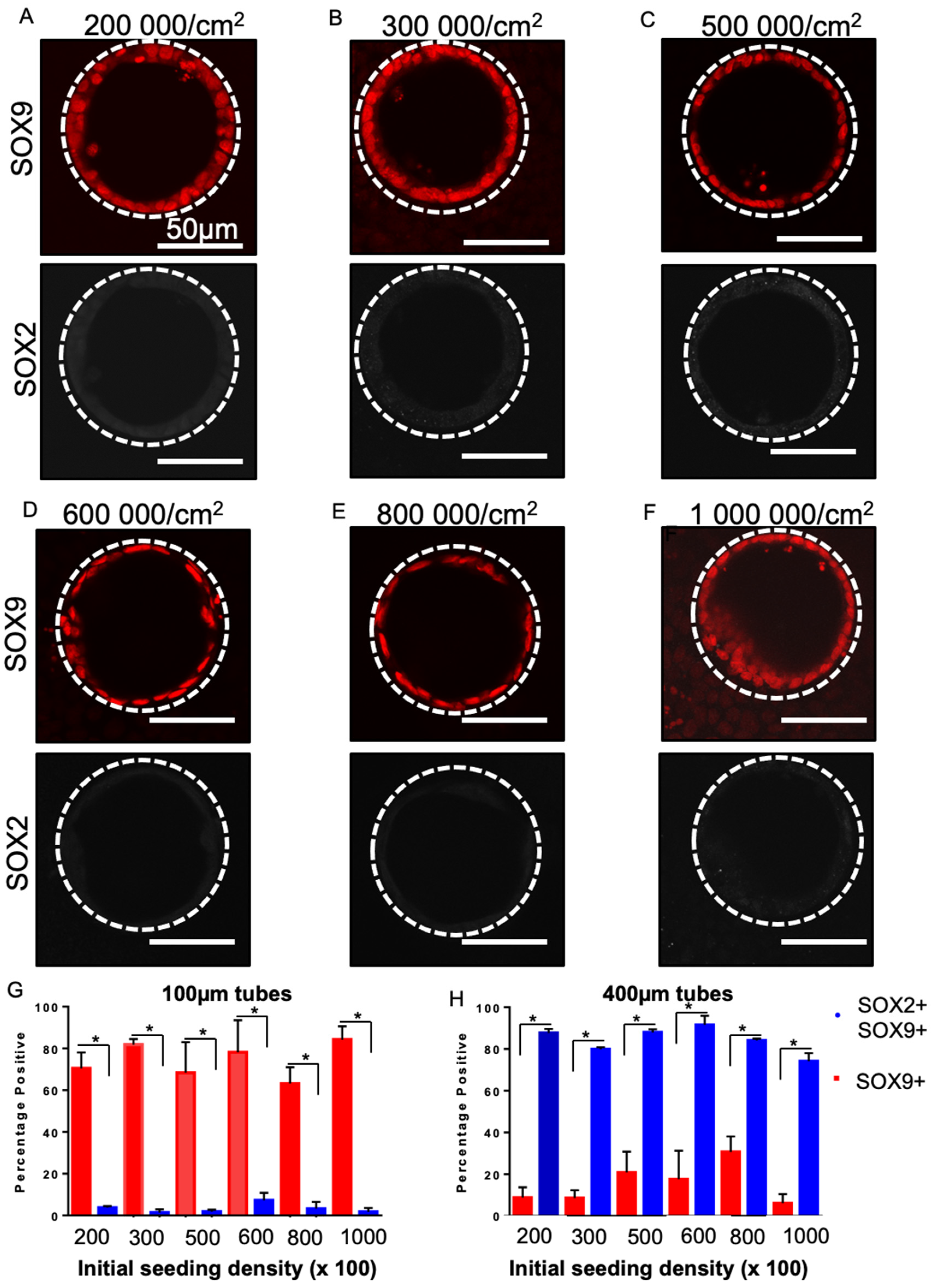 Bioengineering 08 00209 g006