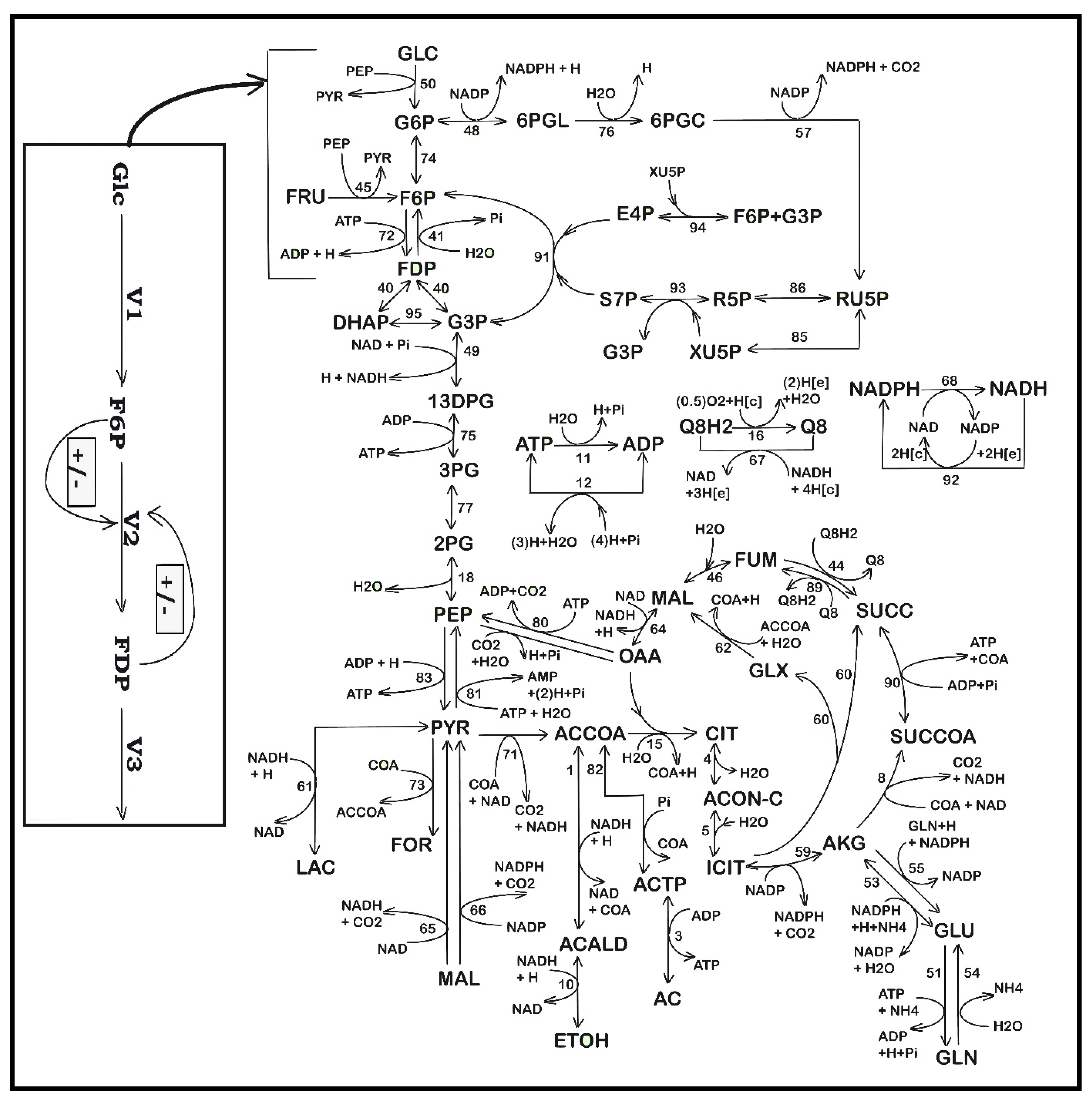 Bioengineering 08 00210 g001