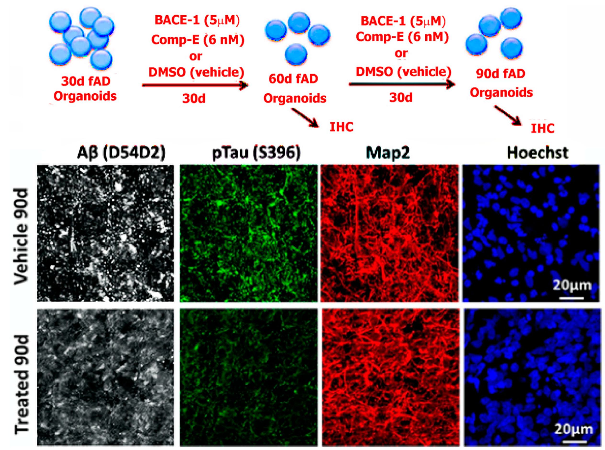 Bioengineering 08 00211 g003 550