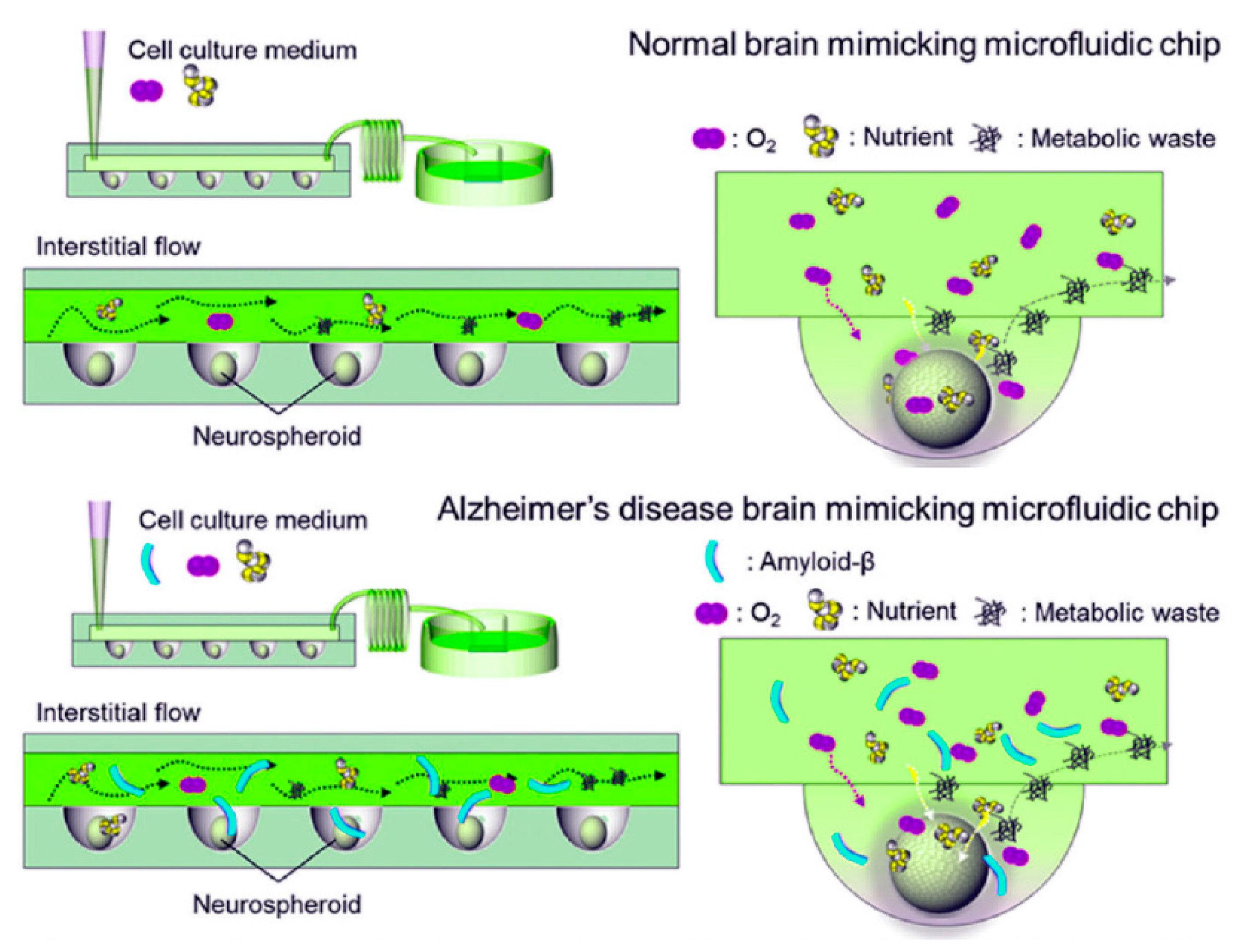 Bioengineering 08 00211 g005 550