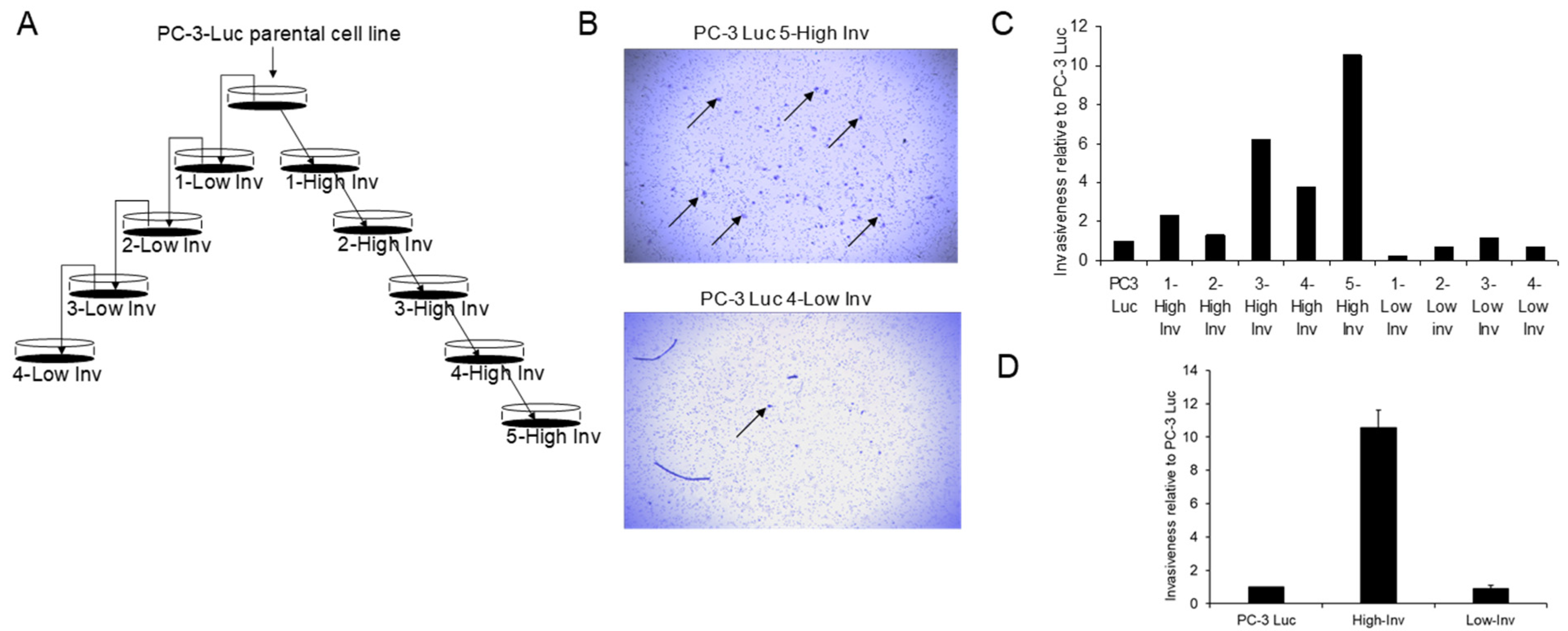 Bioengineering 08 00212 g001 550