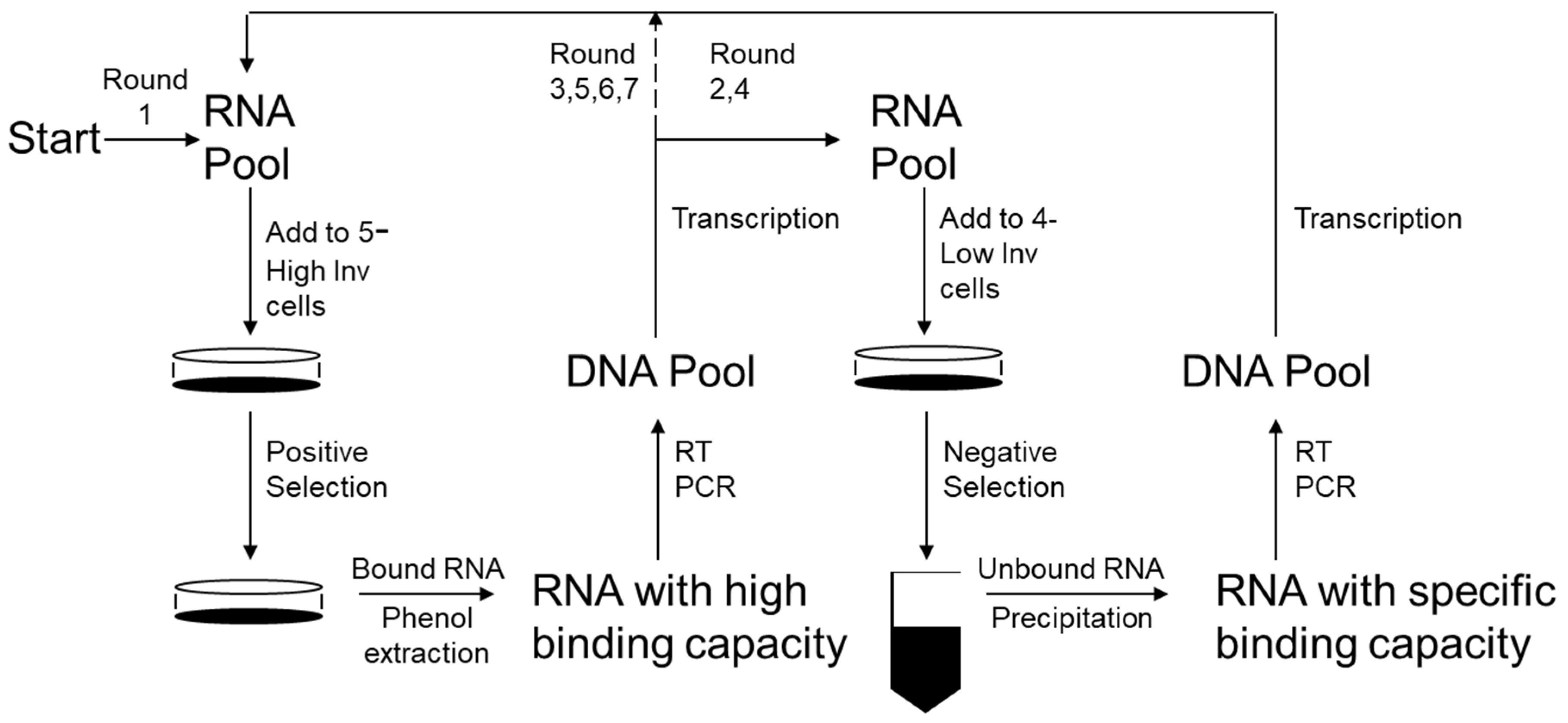 Bioengineering 08 00212 g002 550