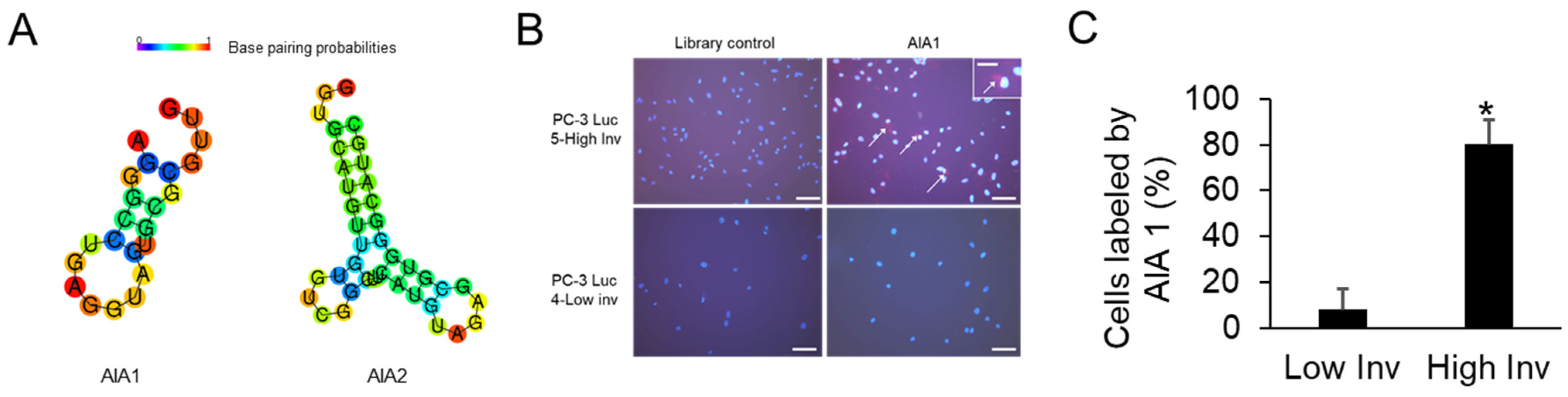 Bioengineering 08 00212 g003 550