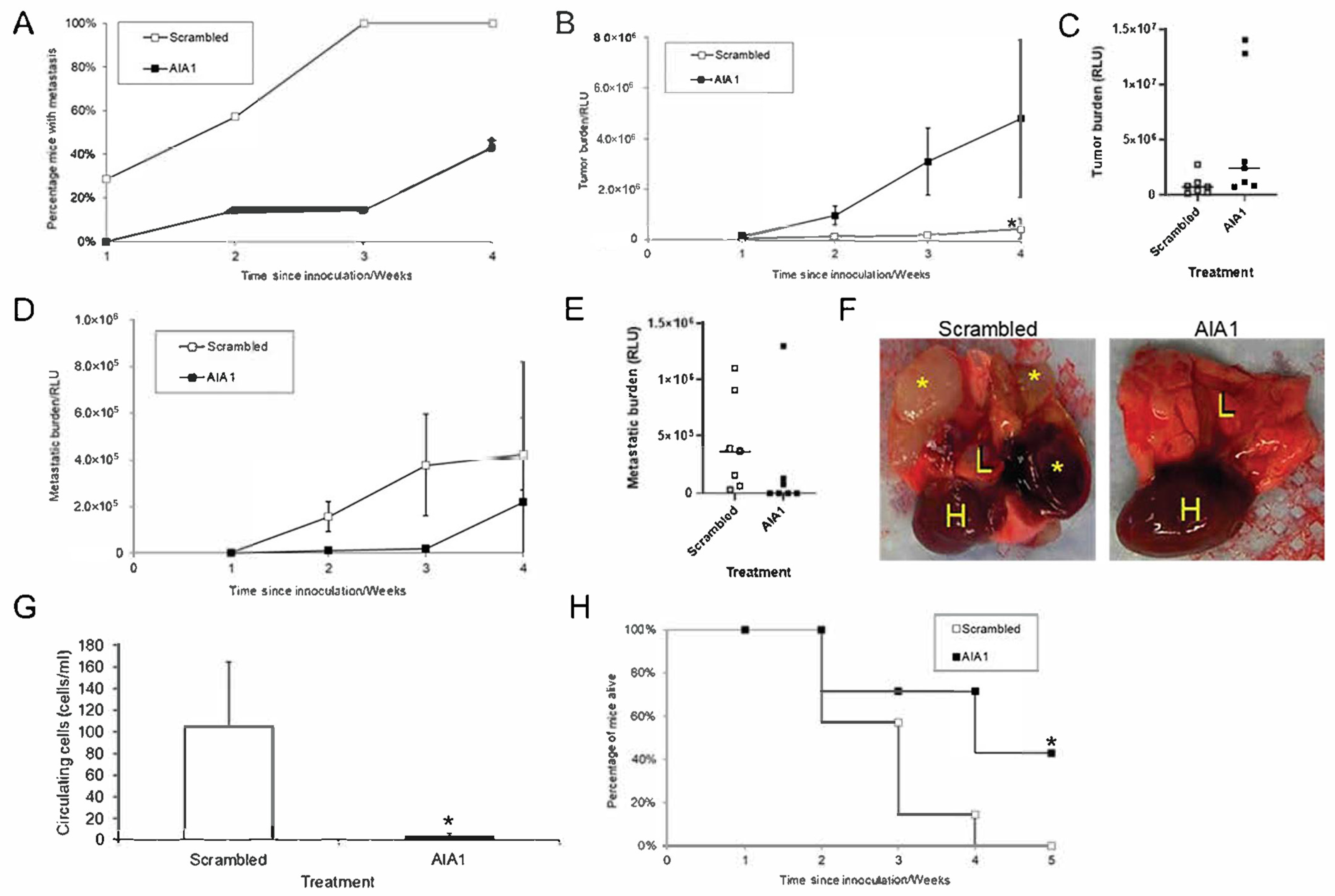 Bioengineering 08 00212 g006 550