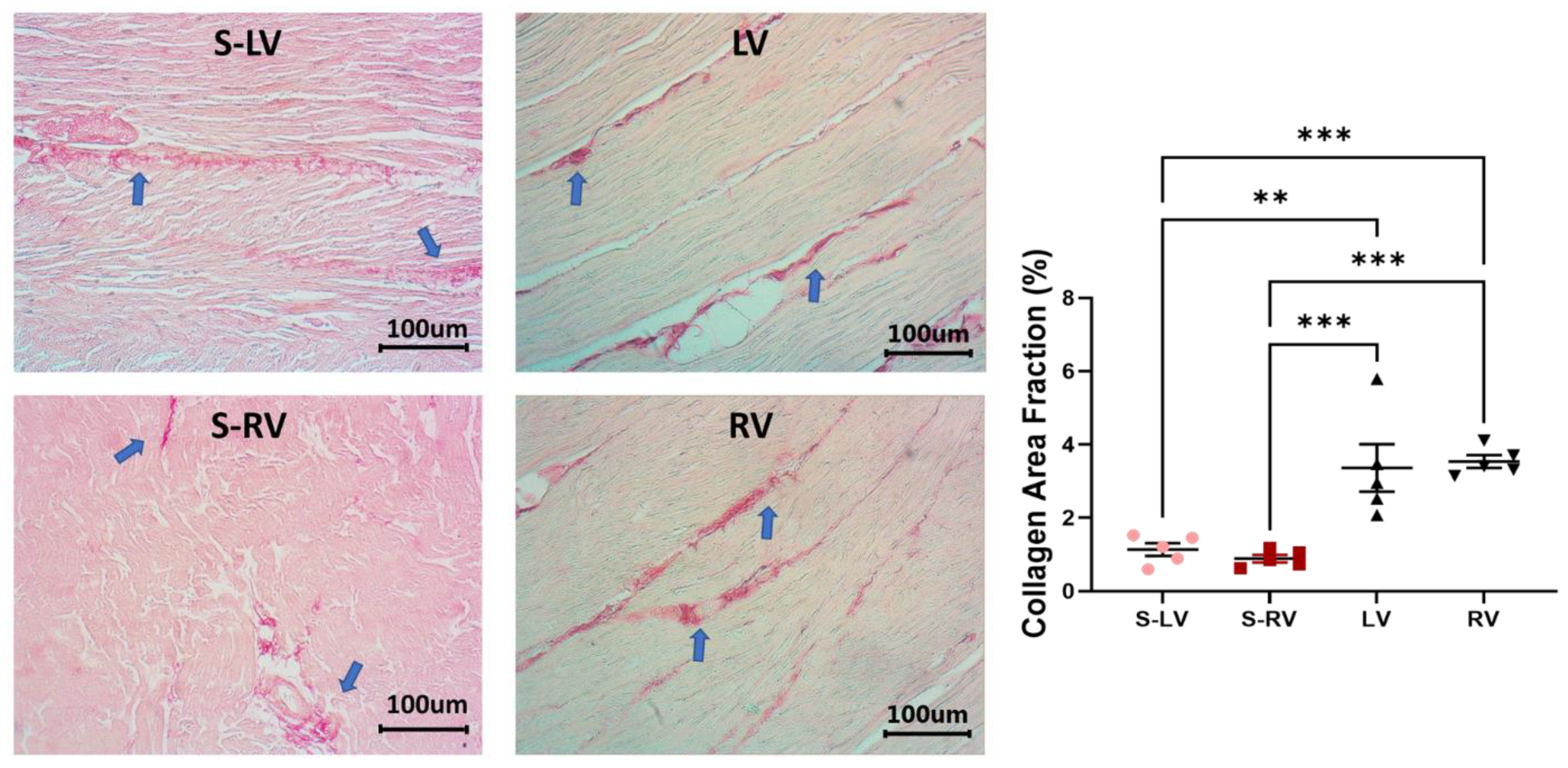 Bioengineering 08 00216 g006 Bioengineering 08 00216 g006