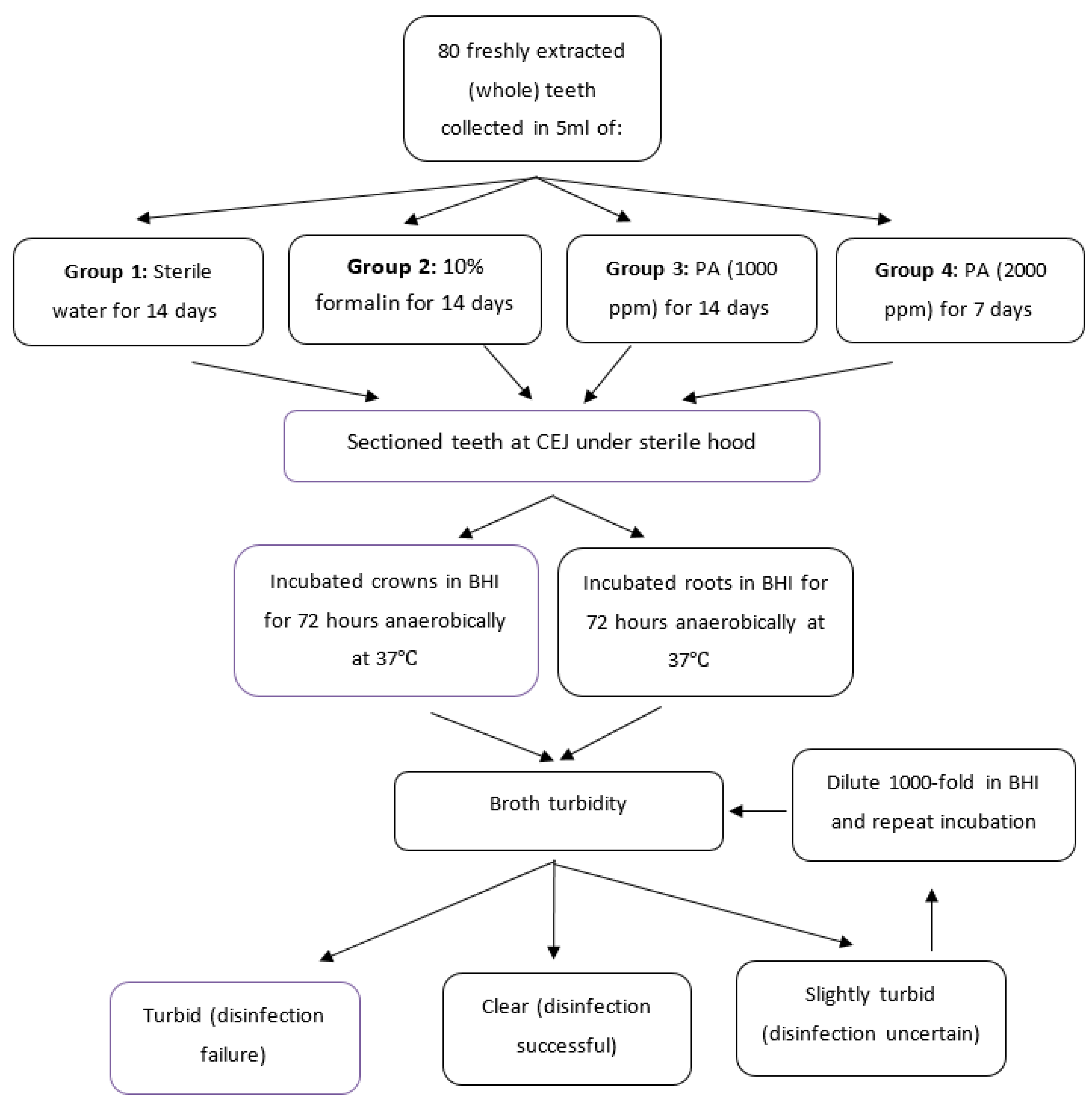 Bioengineering 08 00217 g001