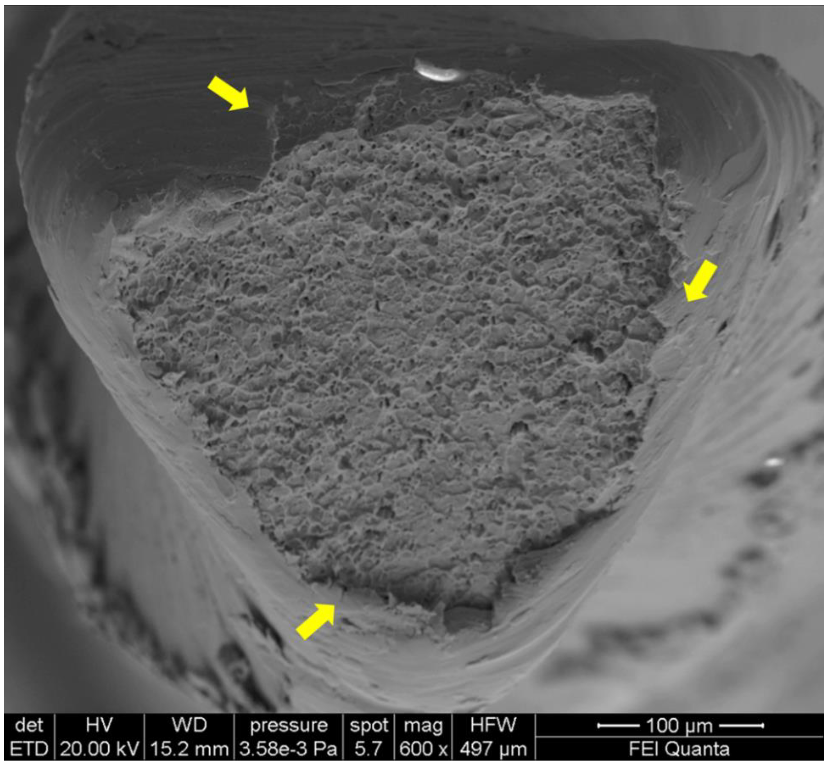 Bioengineering 08 00218 g004 550