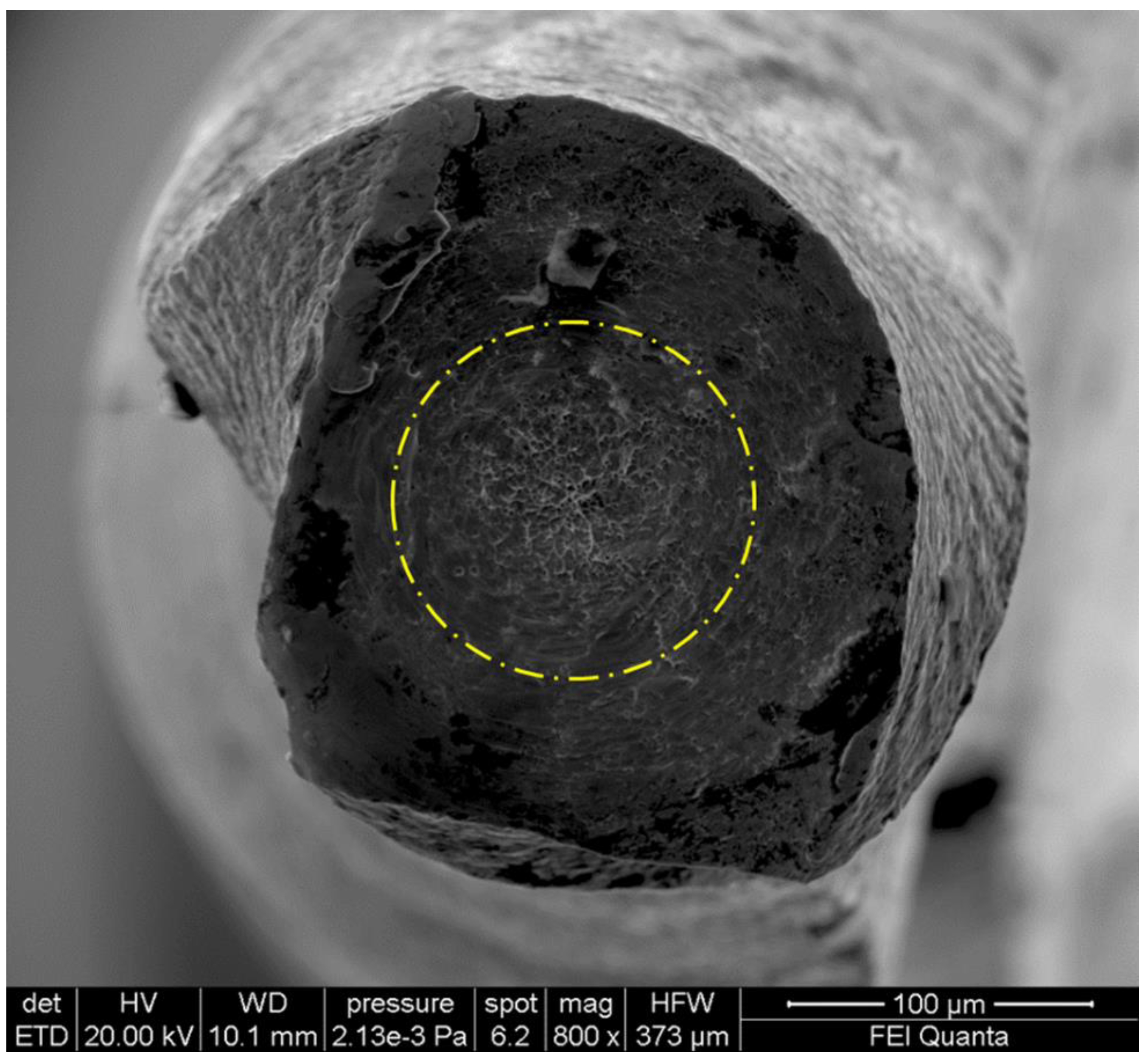 Bioengineering 08 00218 g005 550