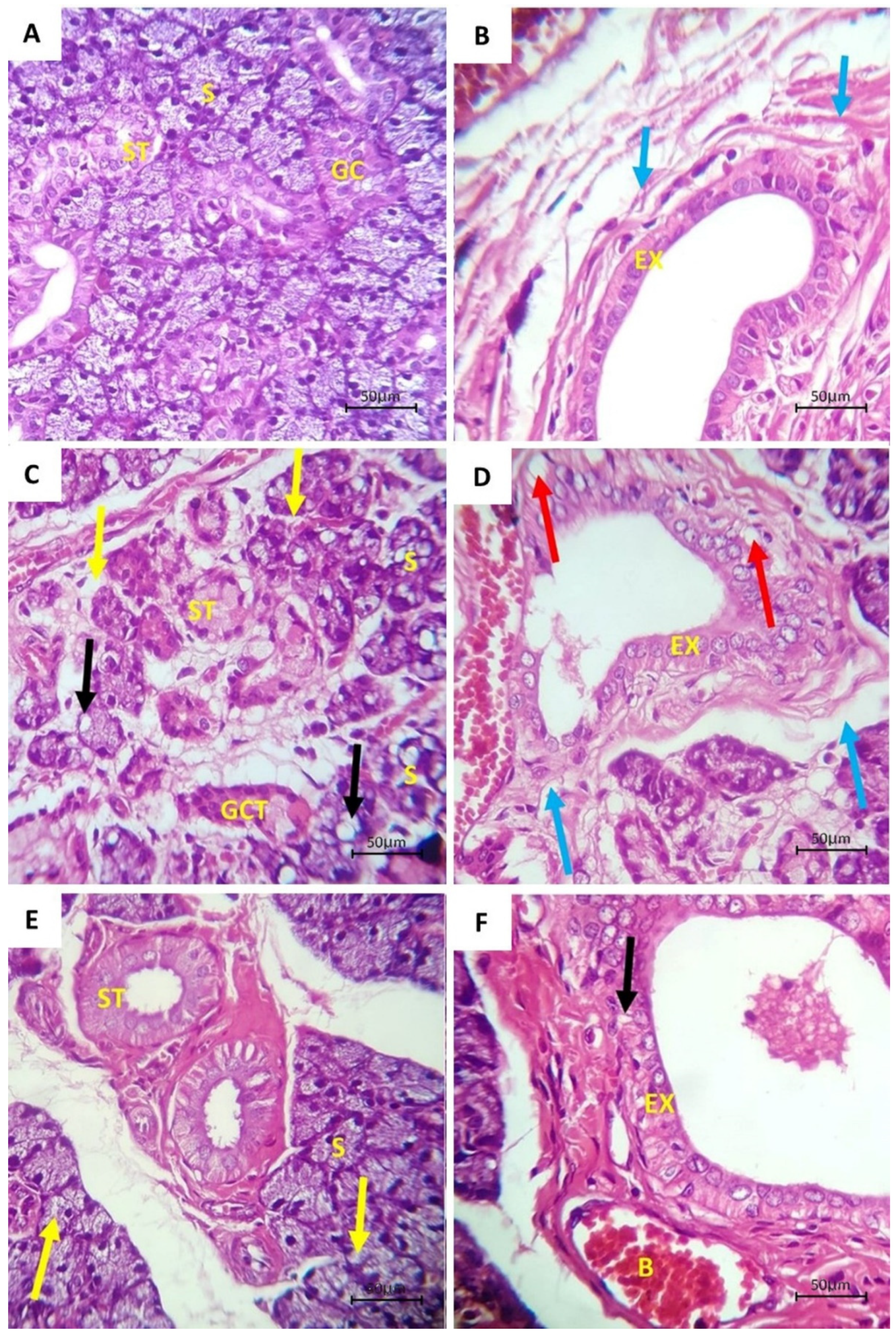 Bioengineering 08 00219 g001 Bioengineering 08 00219 g001