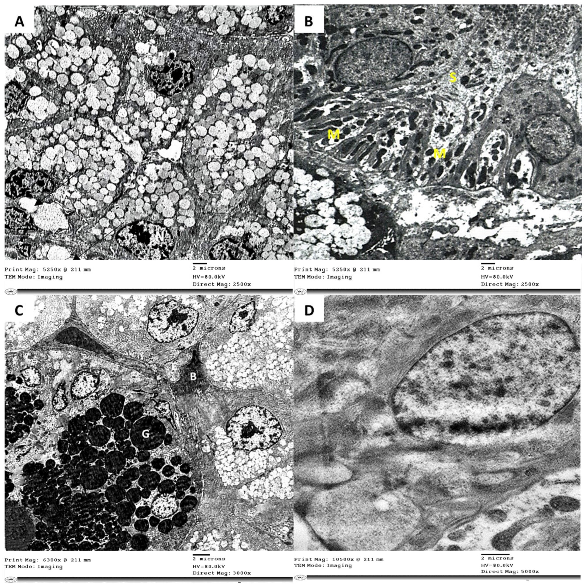 Bioengineering 08 00219 g005 Bioengineering 08 00219 g005