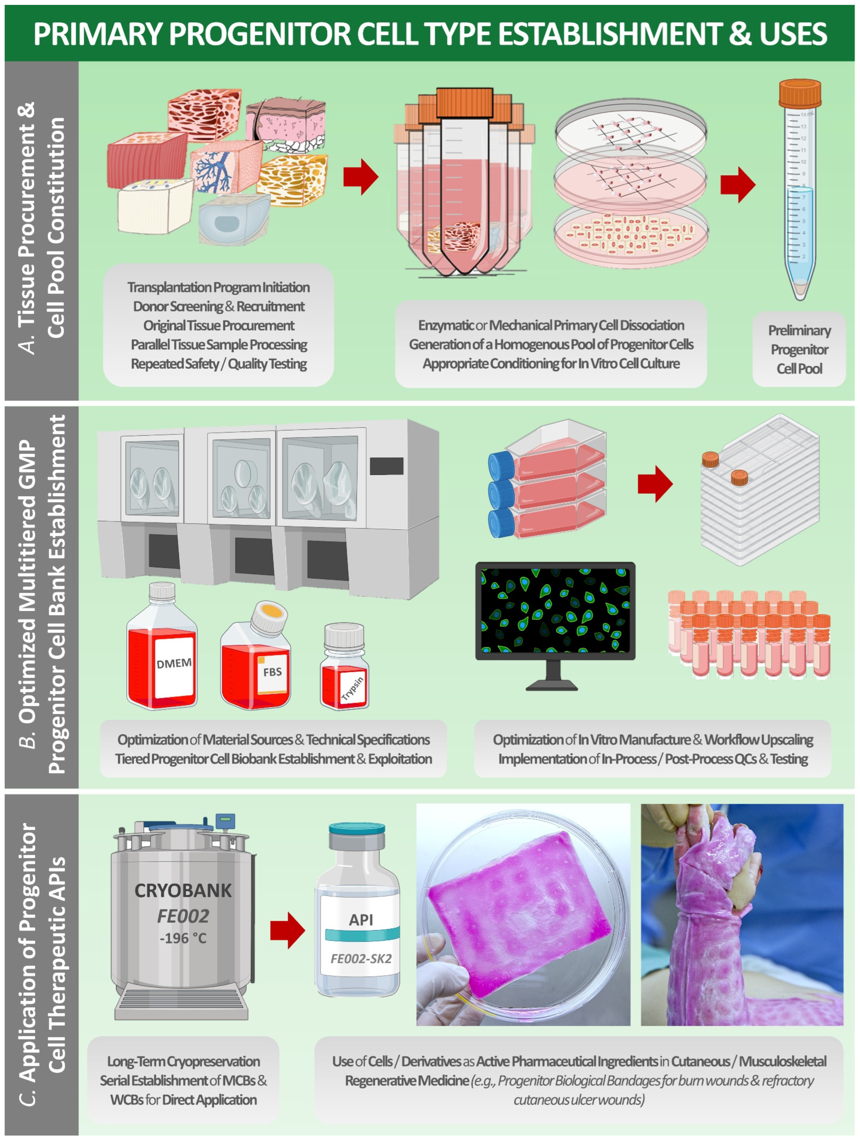 Bioengineering 08 00221 g001 Bioengineering 08 00221 g001
