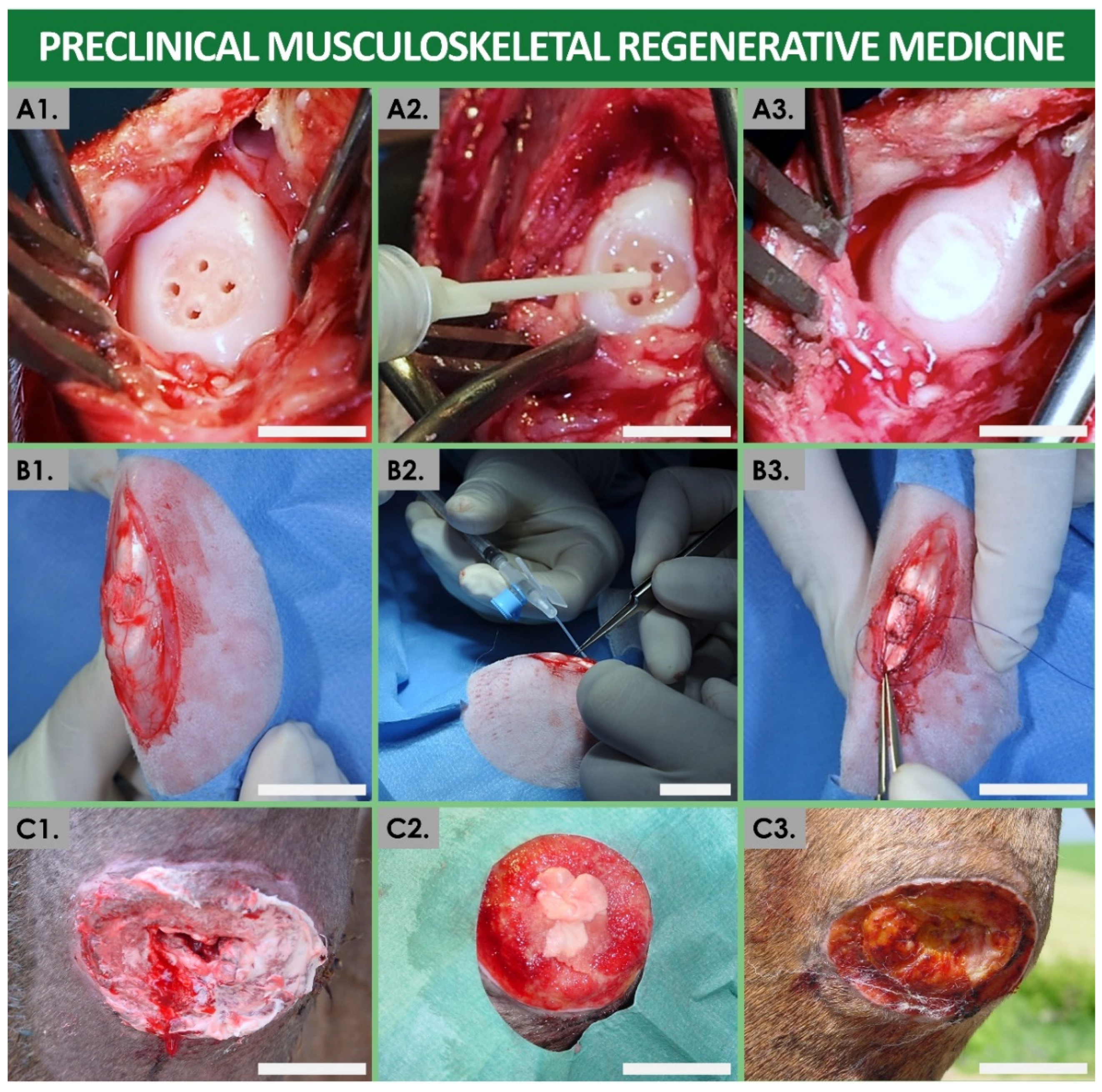 Bioengineering 08 00221 g003 Bioengineering 08 00221 g003