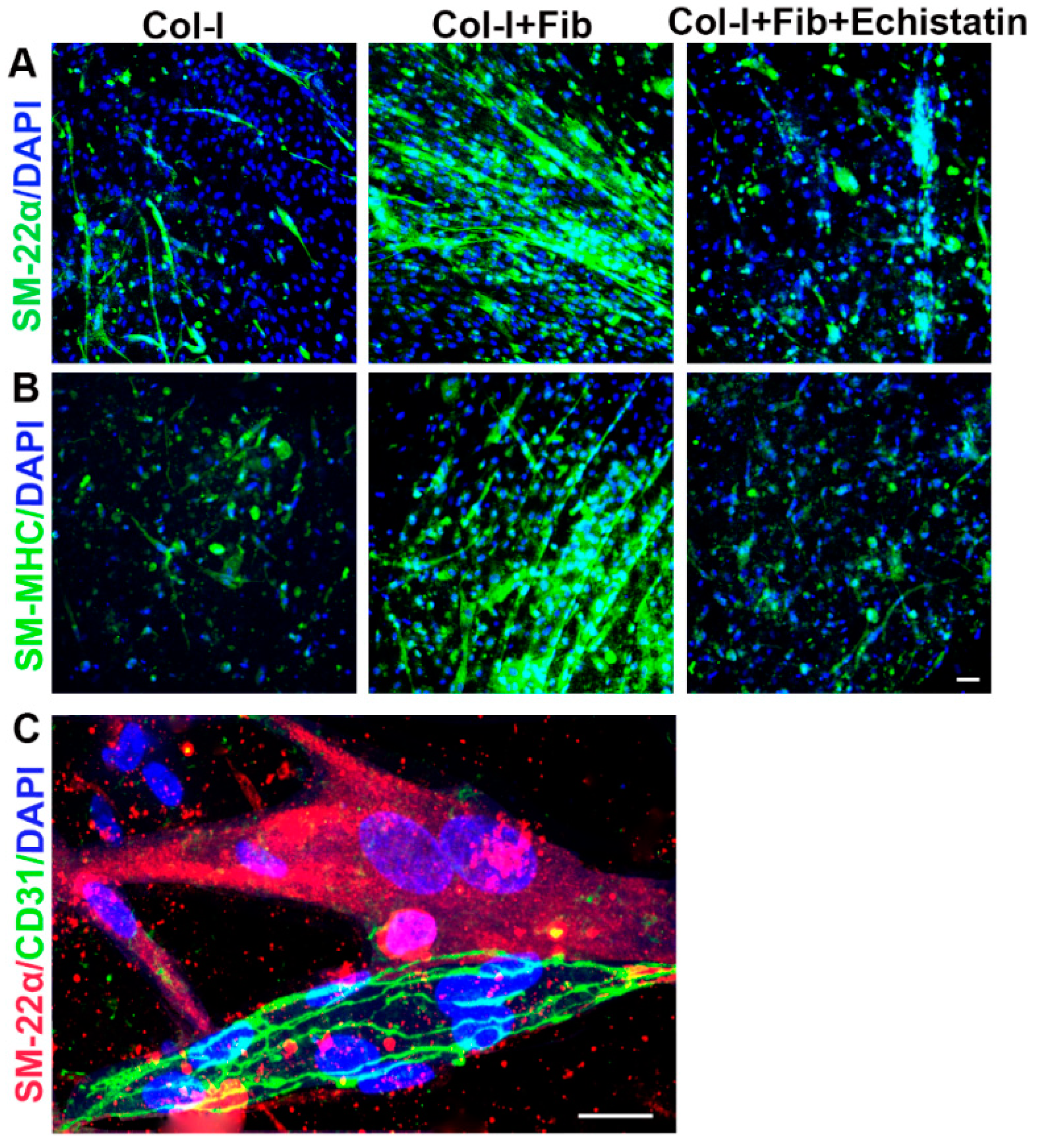 Bioengineering 08 00223 g005 550
