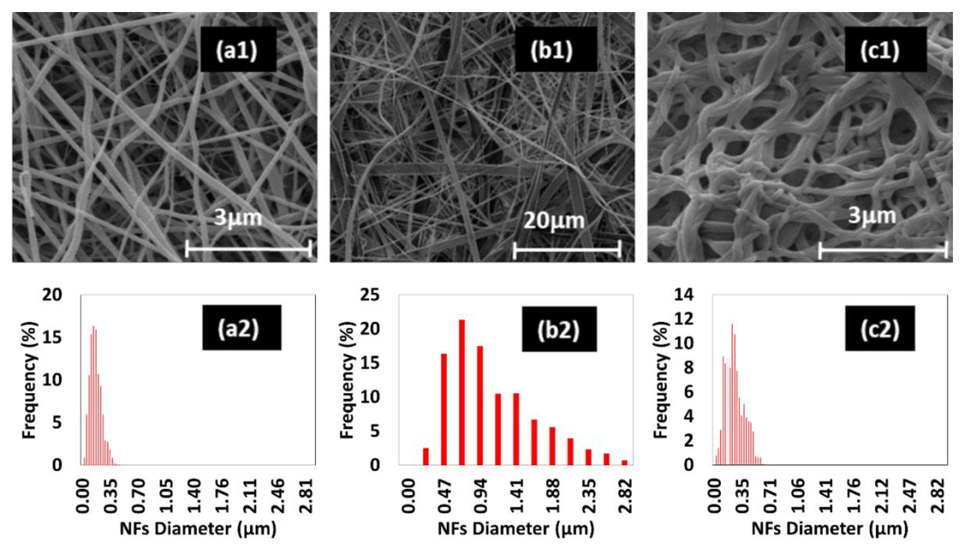 Bioengineering 08 00224 g001