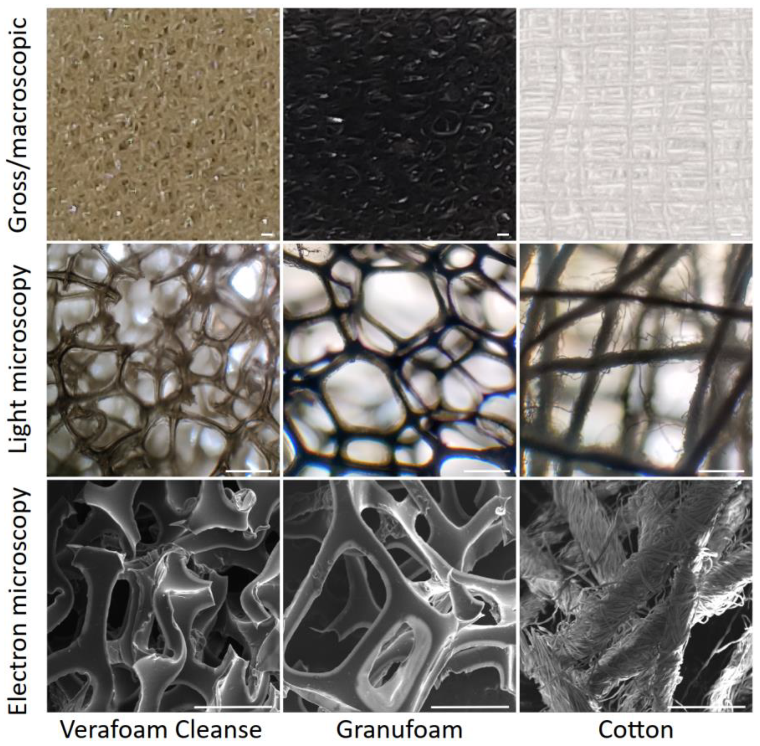 Bioengineering 09 00002 g001 550