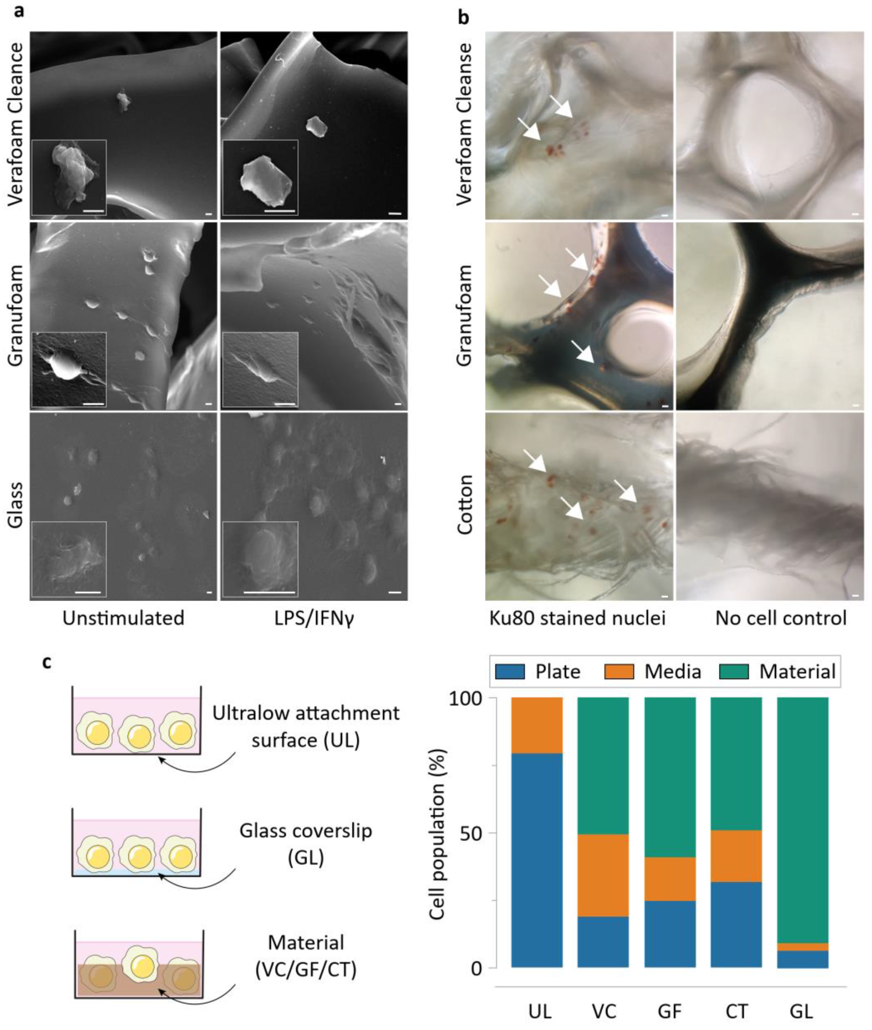Bioengineering 09 00002 g002 550