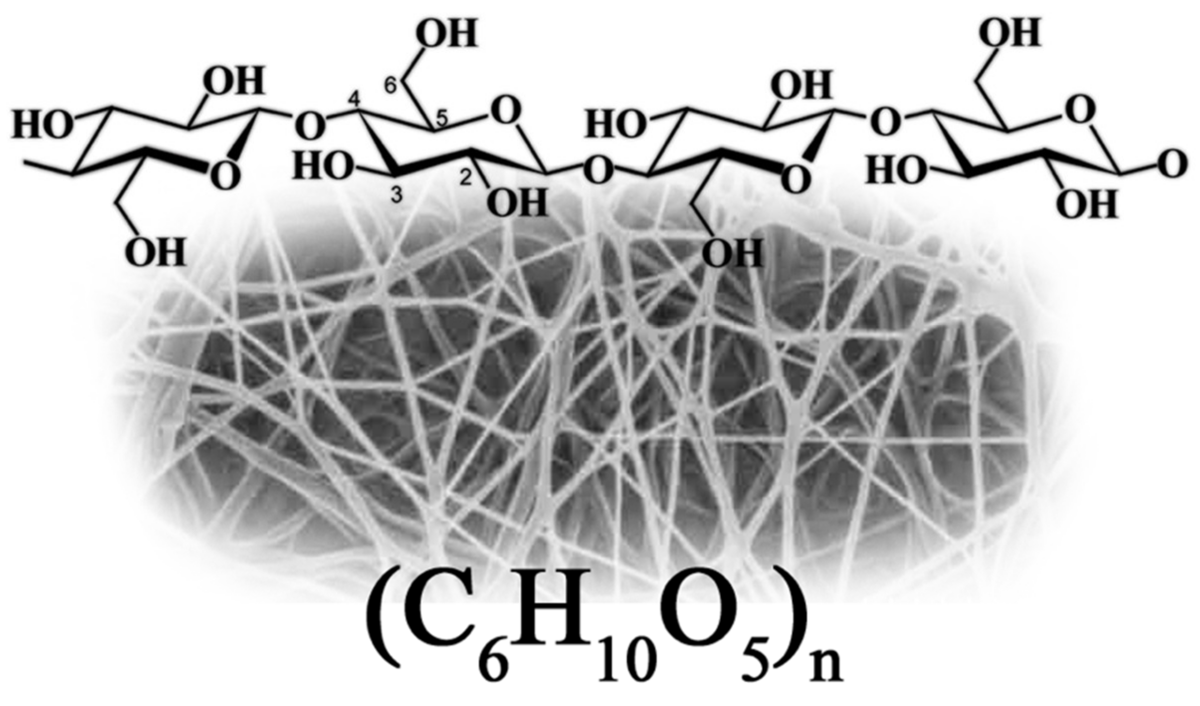 Bioengineering 09 00003 g001