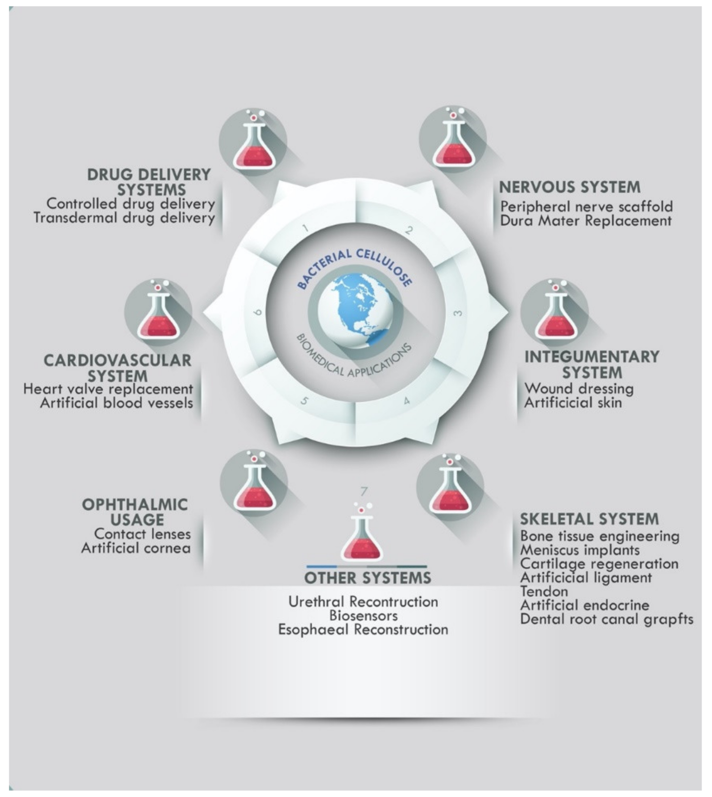 Bioengineering 09 00003 g002