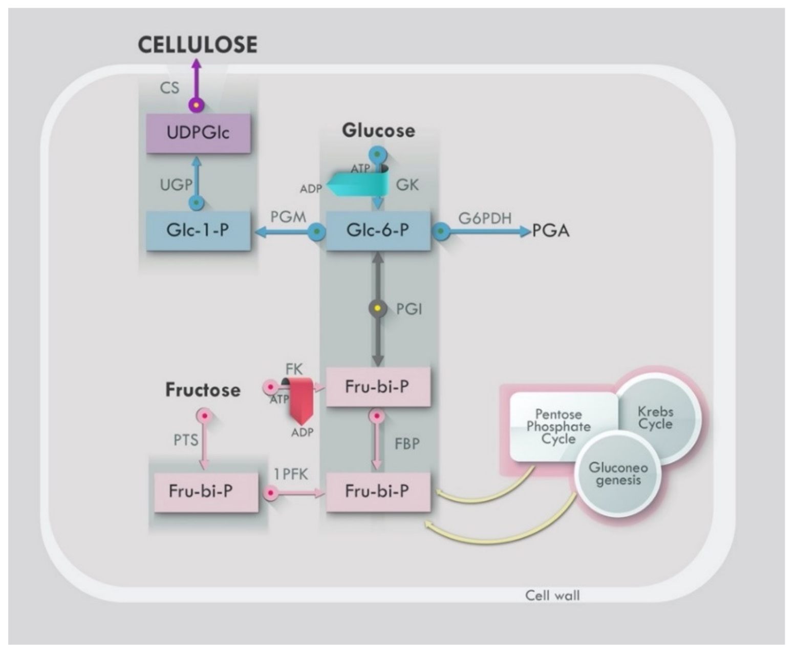 Bioengineering 09 00003 g005